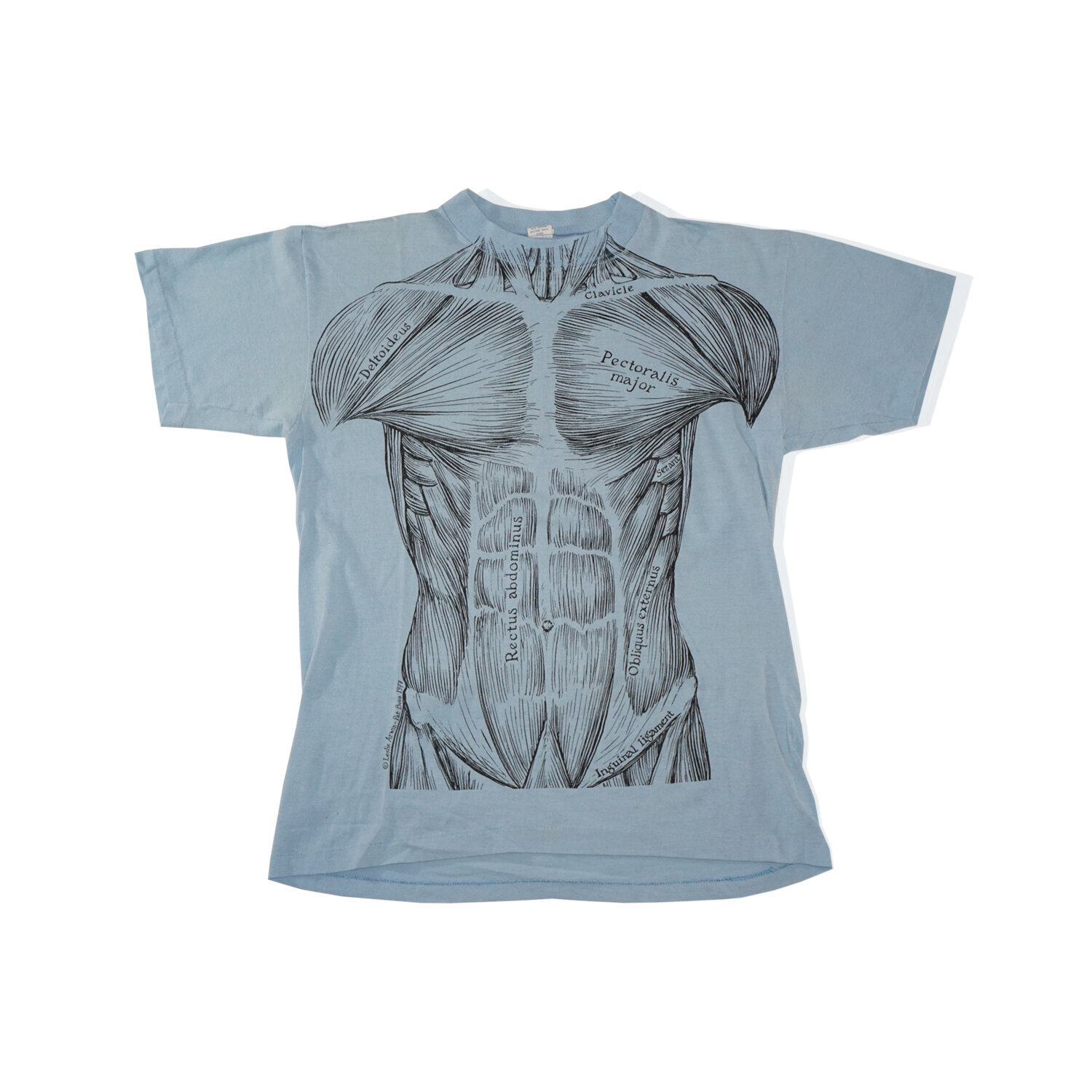 1977 Muscle Anatomy Vintage T-Shirt