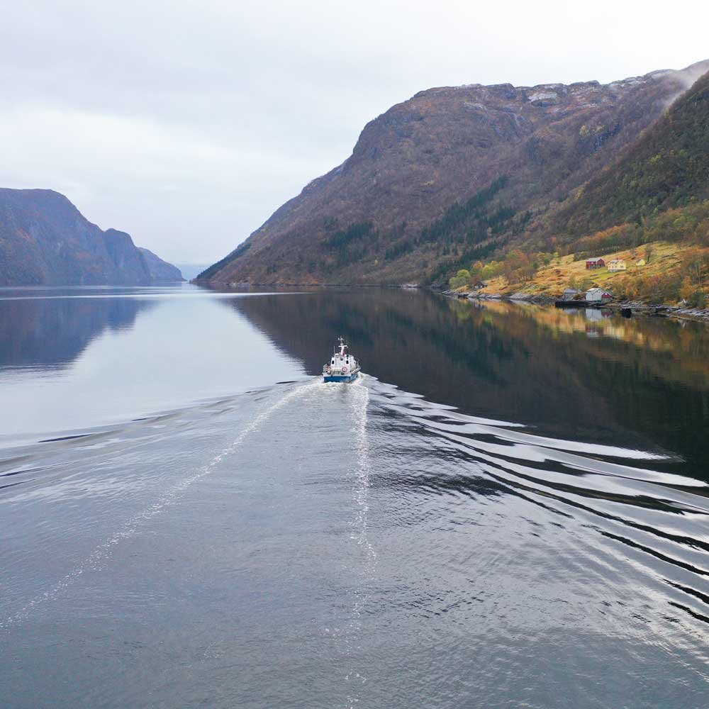 Fjord trip by boat