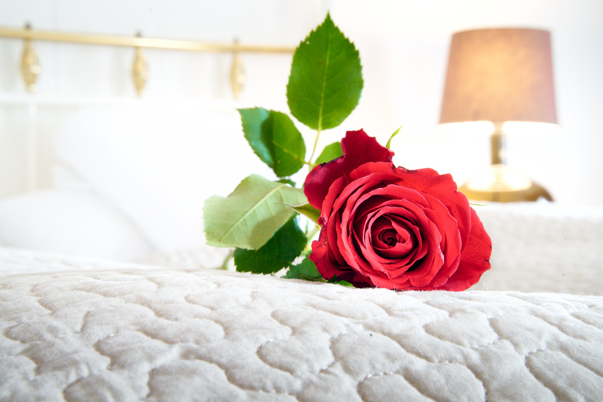 Start the day with a raw rose in bed.