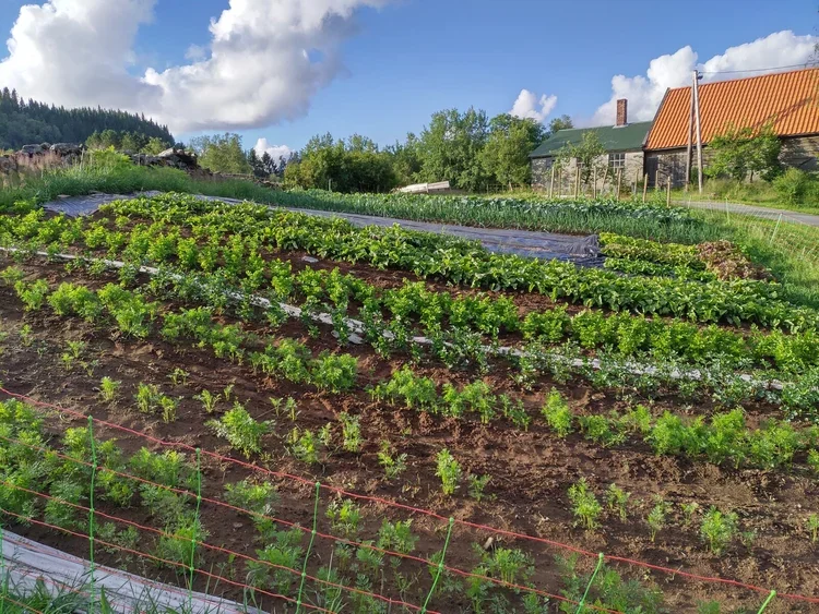 Gardsbesøk på Hauane gard