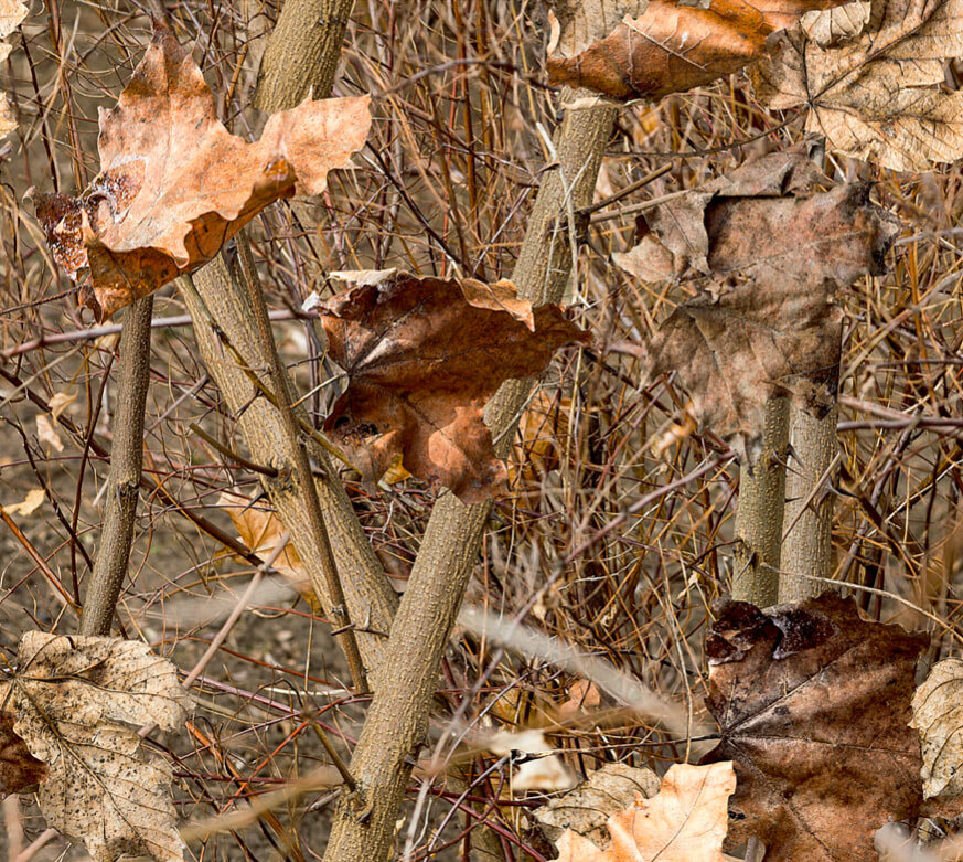 Screen Shot 2019-12-26 at 6.37.58 PM.jpg