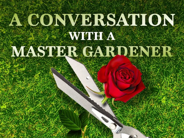 A Conversation with a Master Gardener