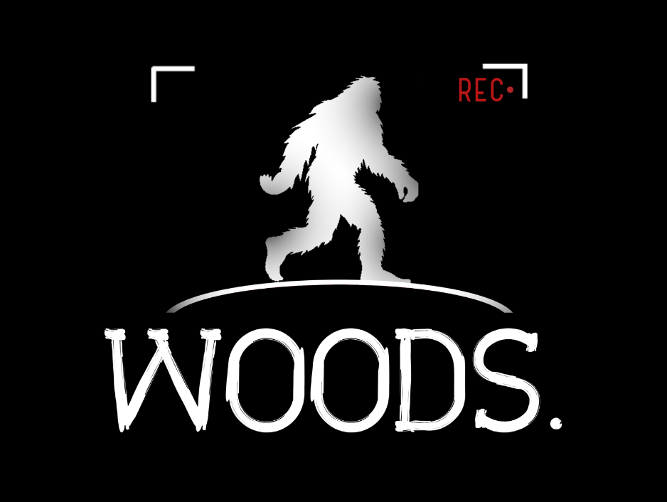 EVENINGS@7 Presents:  WOODS.