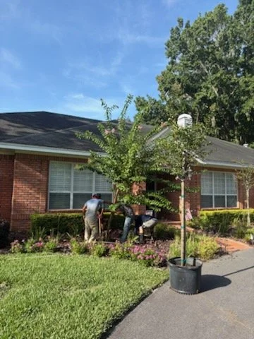 Build - Werner LS.jpg