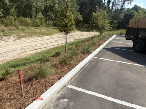 Build - Willbury Install 2.jpg