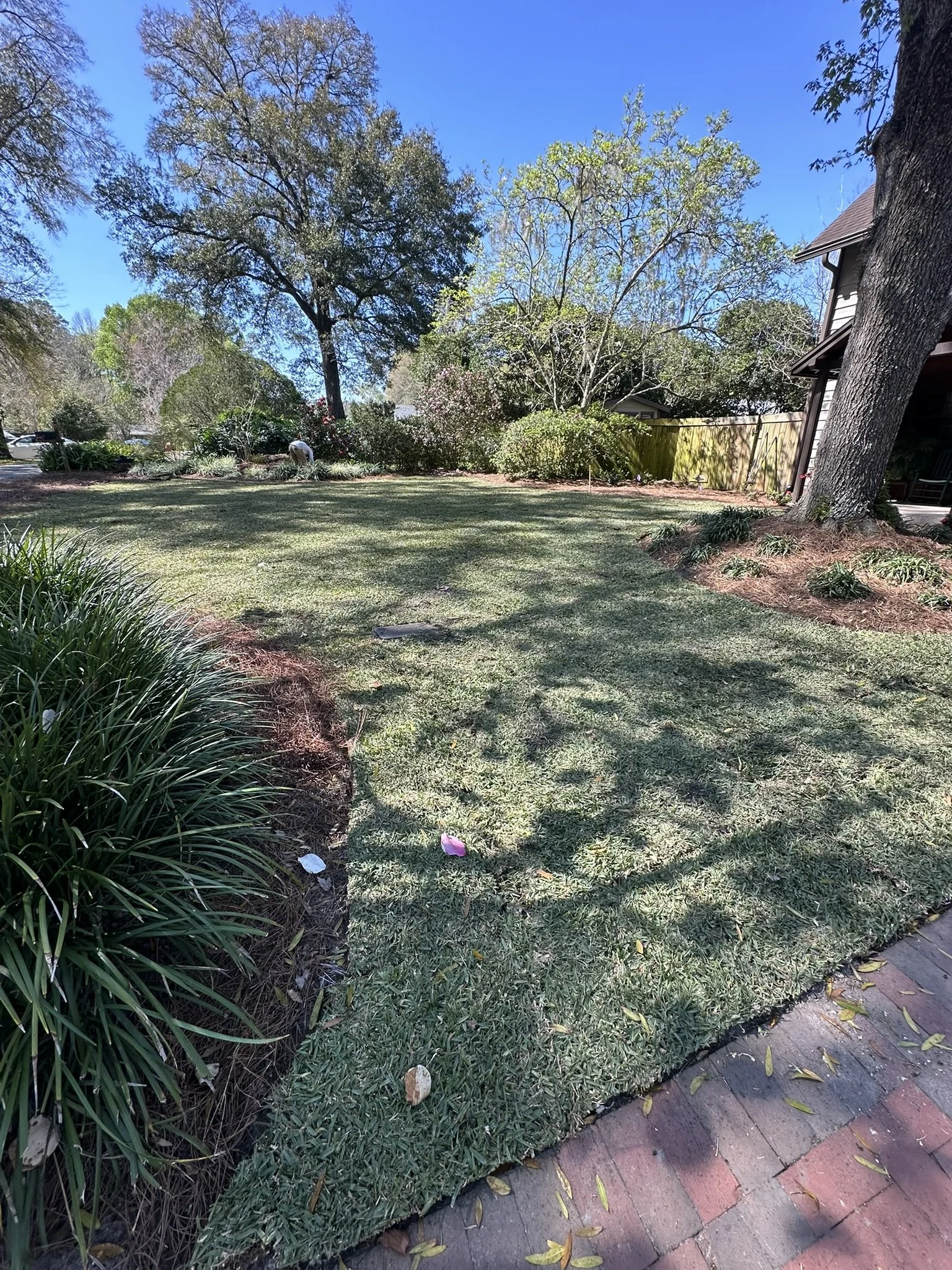 Build - Unknown Sod 1.JPEG