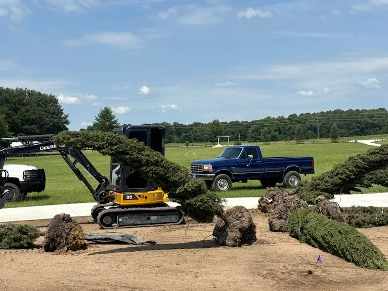 Build - Parrish LS.jpg