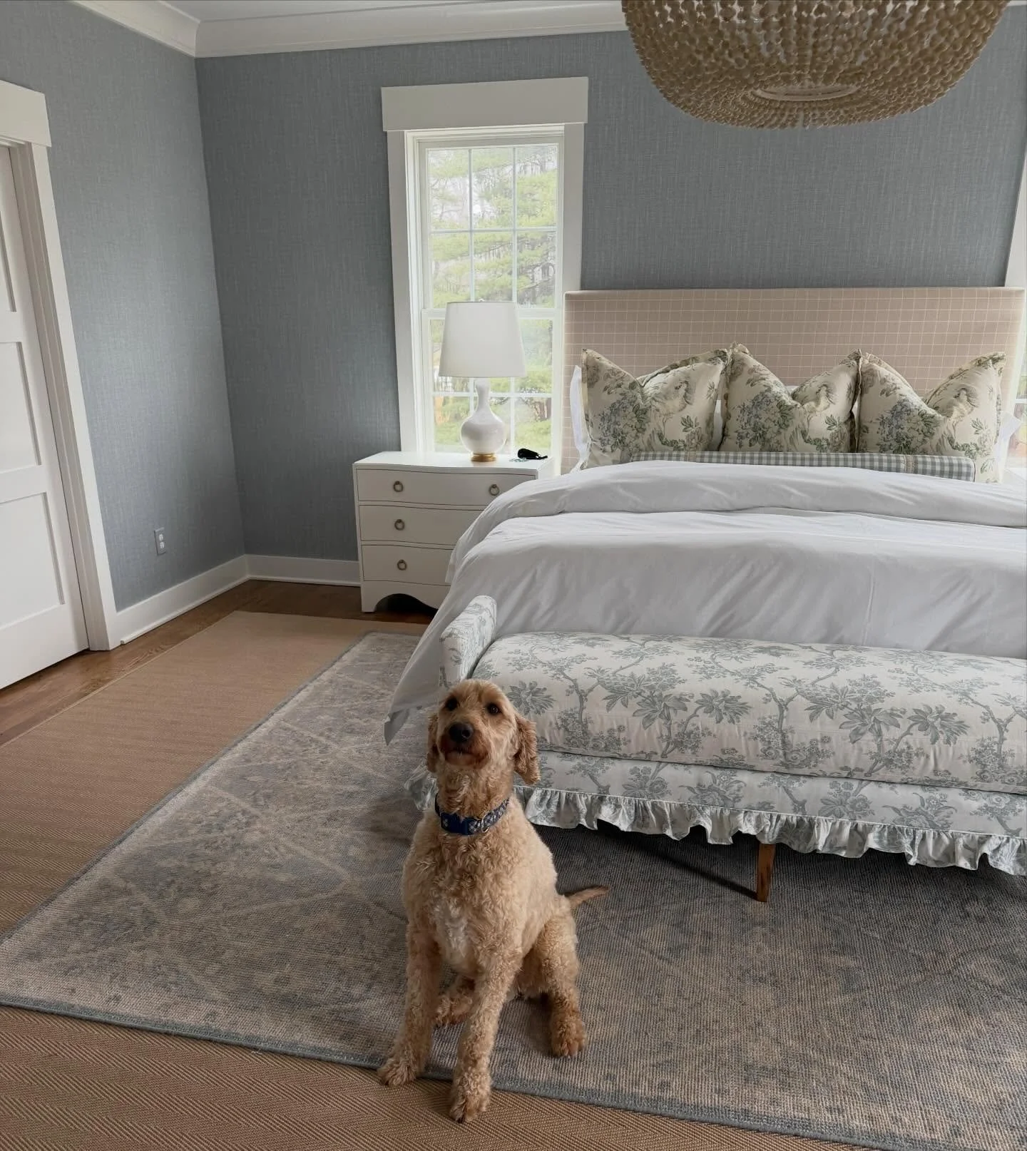 A very good boy ready to enjoy this (almost) finished room