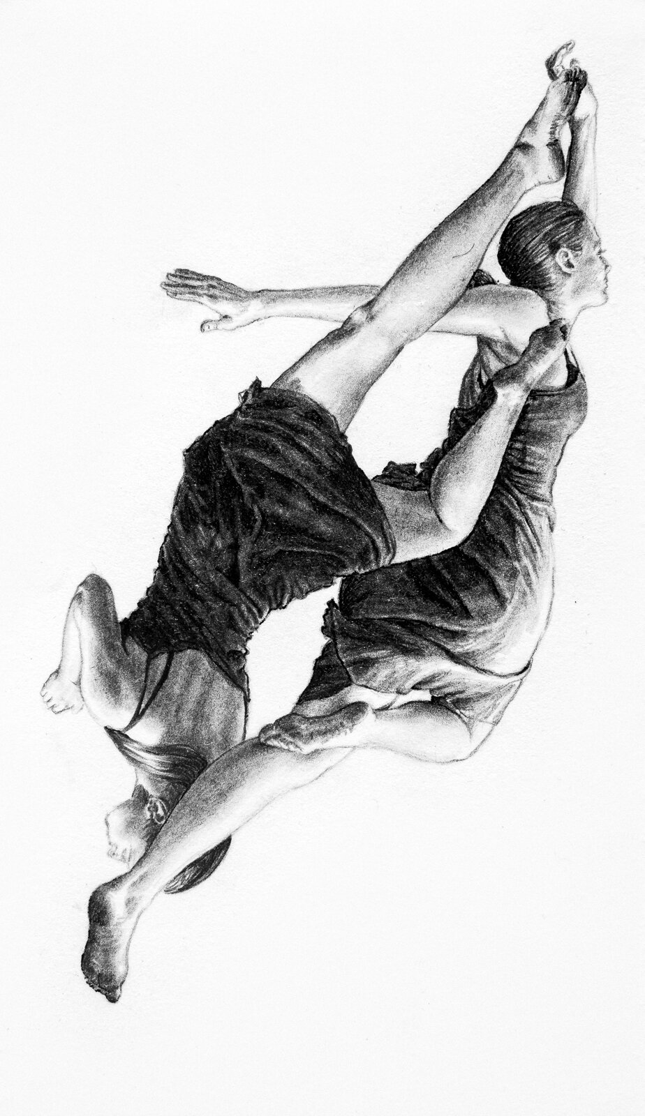 HARP - SOLD | 5 X 3 INCHES | GRAPHITE AND INK ON PAPER | 2012