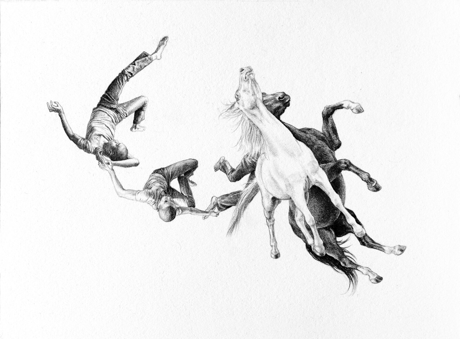 Kelpie | 5 X 7 INCHES | GRAPHITE AND INK ON PAPER | 2012