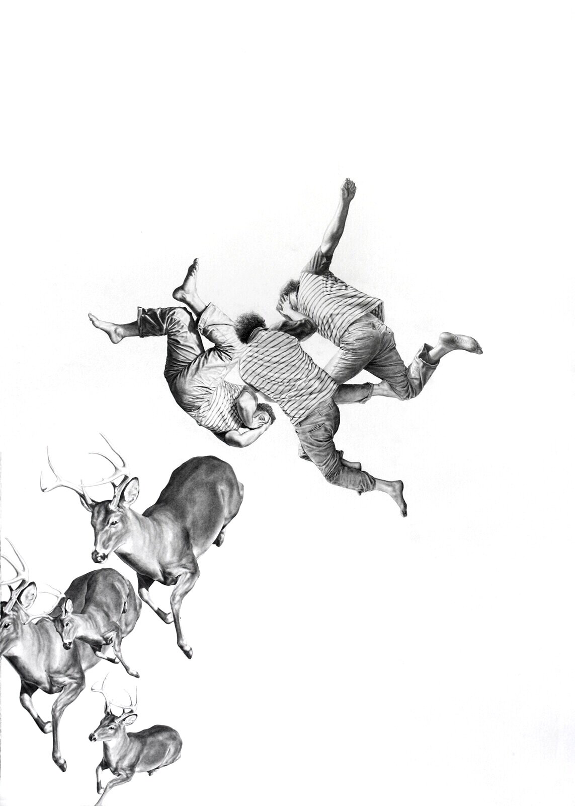 ACTAEON - SOLD | 30 X 41.5 INCHES | GRAPHITE AND INK ON PAPER | 2010