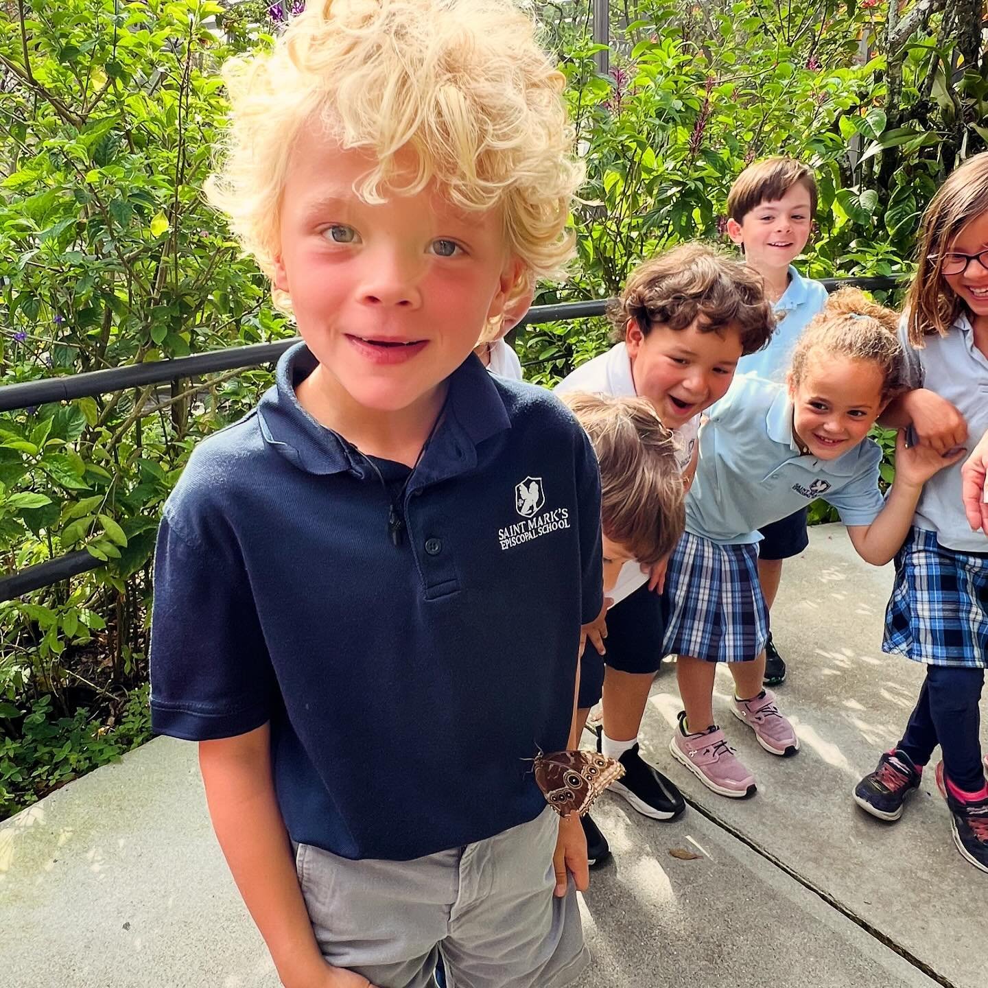 🦋🌿✨ Today was a fluttery-fun adventure at Butterfly World with our little explorers from Kindergarten! 

🎉 From vibrant wings to delicate dances, they were mesmerized by nature's artistry. Thanks to our teachers and tiny adventurers for spreading 