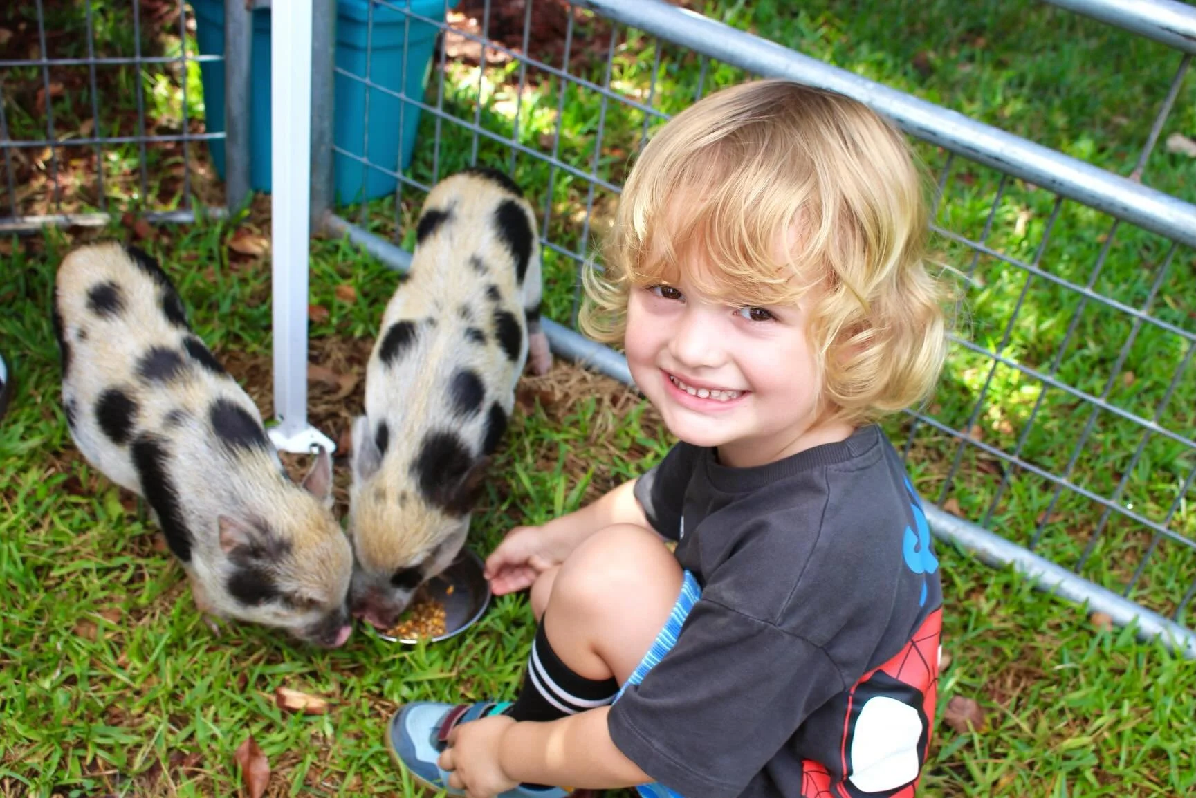 Cuteness Overload!! 🐰🐴

The petting zoo came to visit our campers today! They had the best time feeding, petting, and learning all about the sweet animals. 

#SMES #SMEStradition #pettingzoo #camp #summer