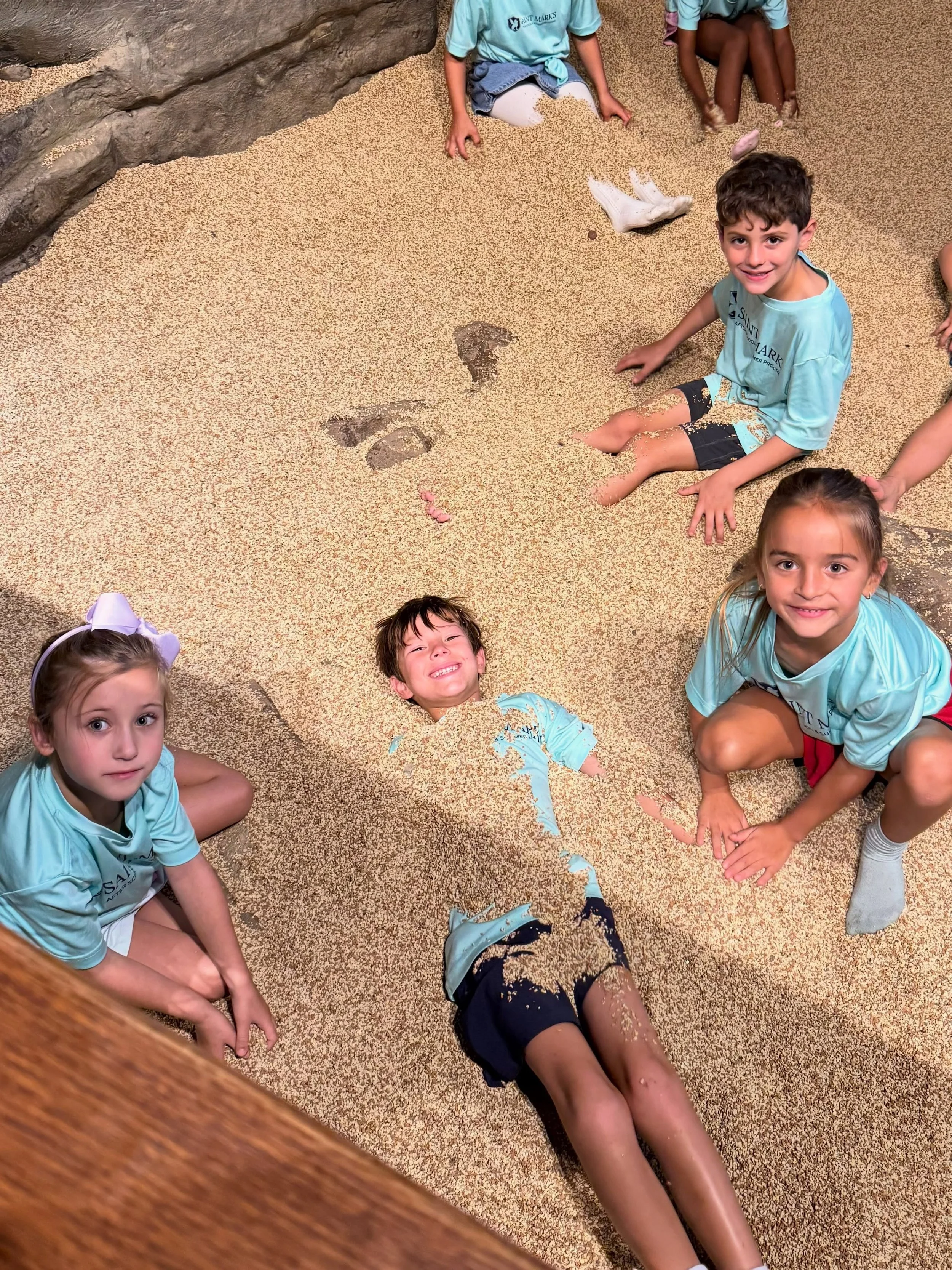 Discovery Awaits 🌎🔭

Our campers jumped into a world of adventure at the Muesum of Discovery and Science.

They enjoyed exploring all of the exhibits and fun activities! 

#SMES #SMEStraditon #EachChildEachDay #science #MuesumofDiscoveryandScience