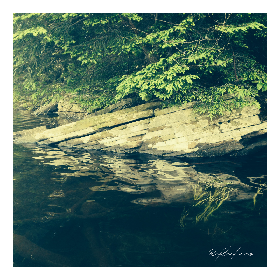 Reflections: Last Thoughts