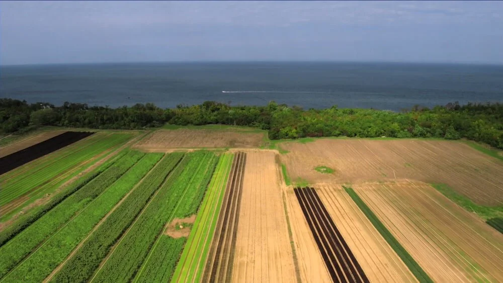 Branded Content for Facebook