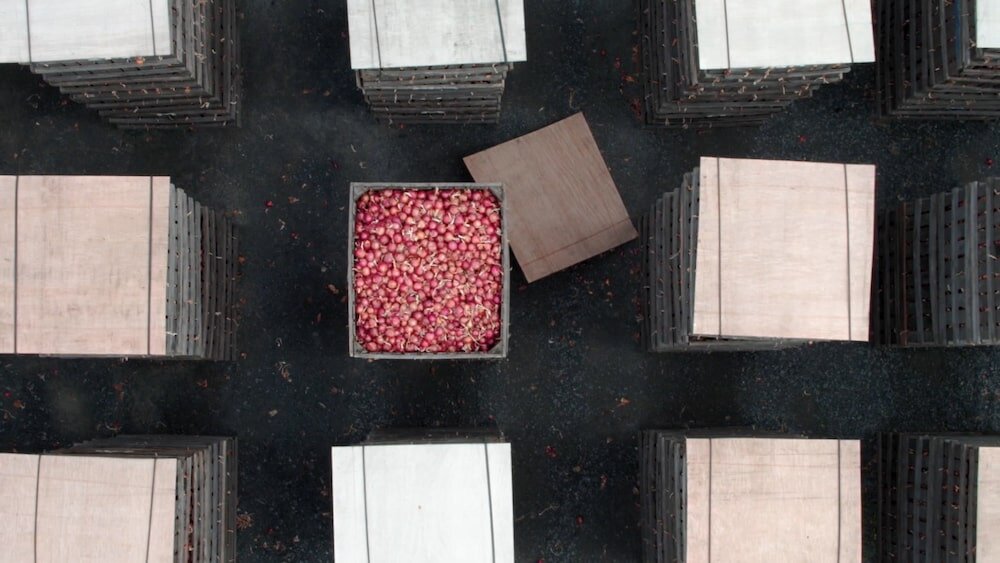 Informational Short for Facebook