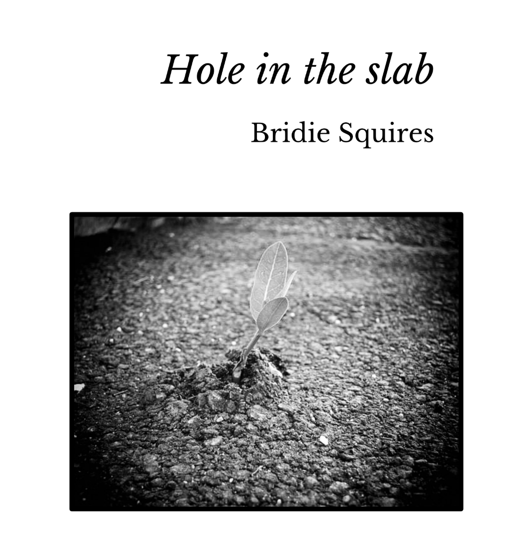 Screenshot 2025-12-08 at 15.16.55.png