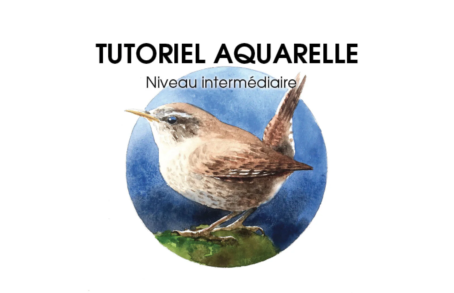 Tutoriel 1 - Troglodyte