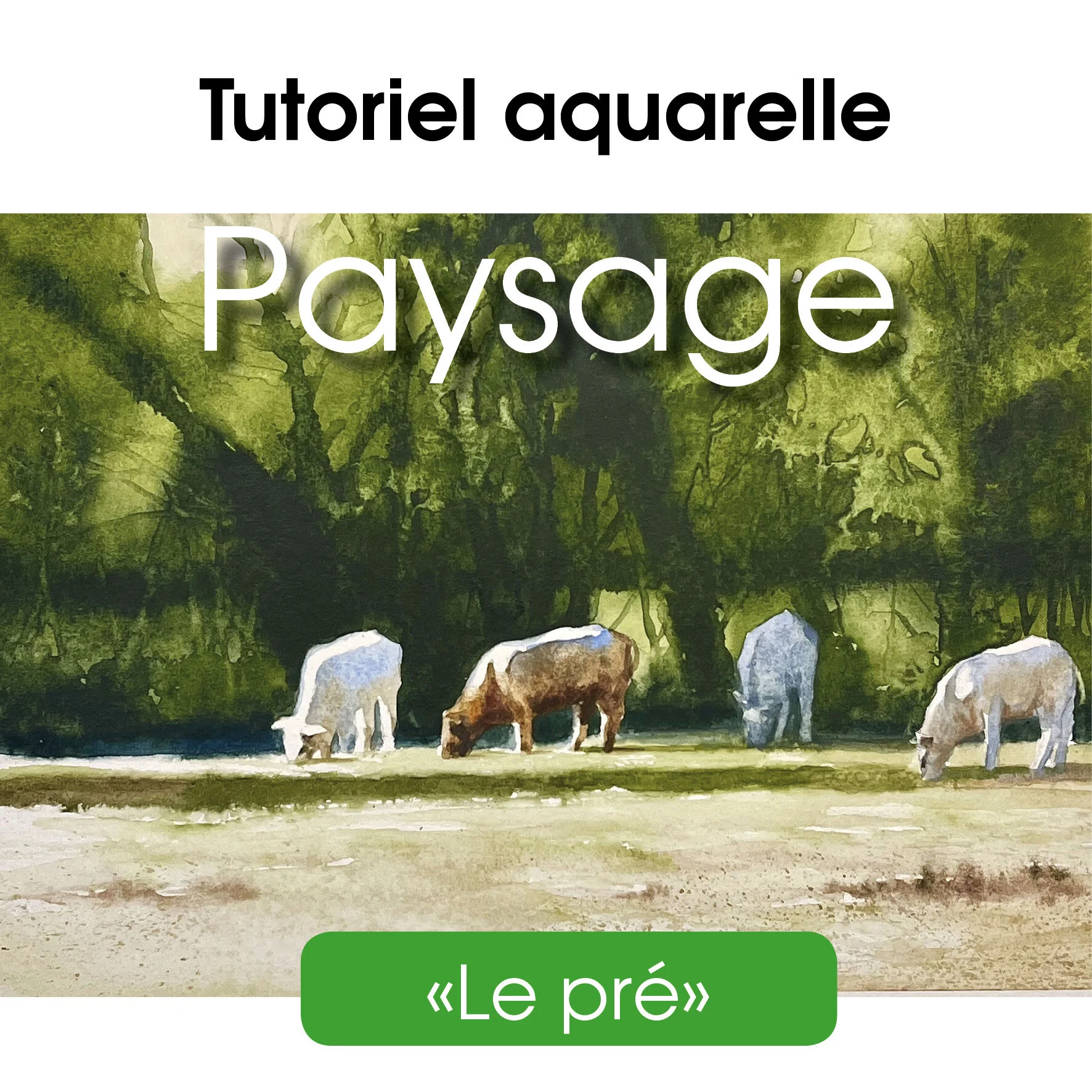 Tutoriel 2 - Le pré