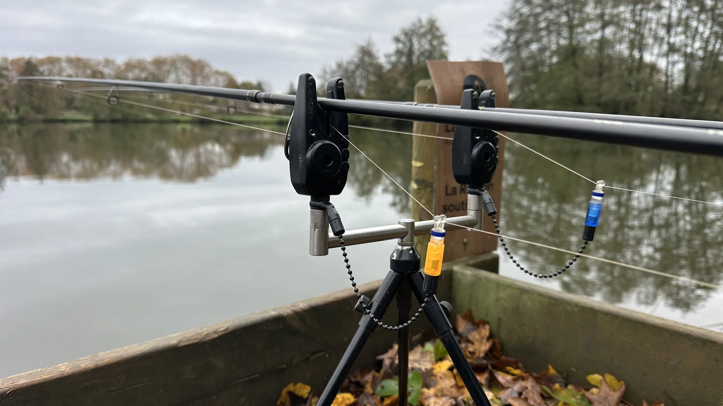 Les dernières semaines pour la carpe…