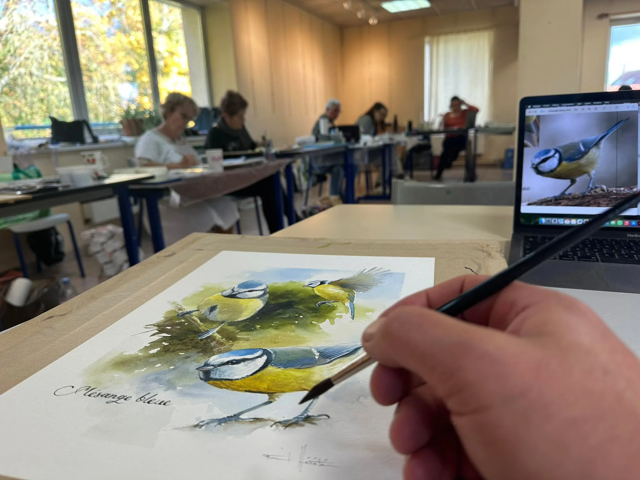 Stage d&rsquo;illustration ornithologique en Champagne