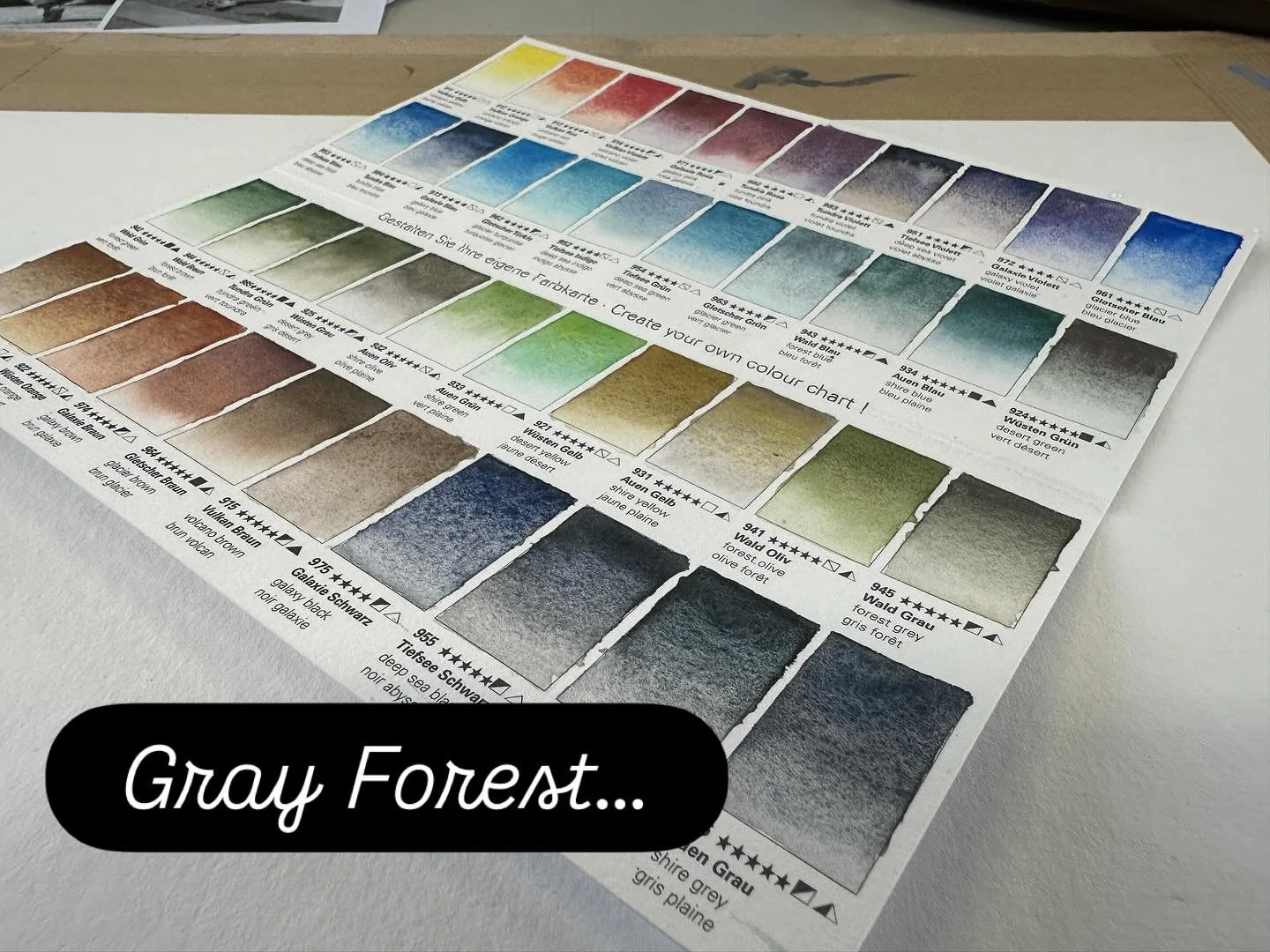 Aujourd&rsquo;hui on teste le Gray Forest de Schmincke