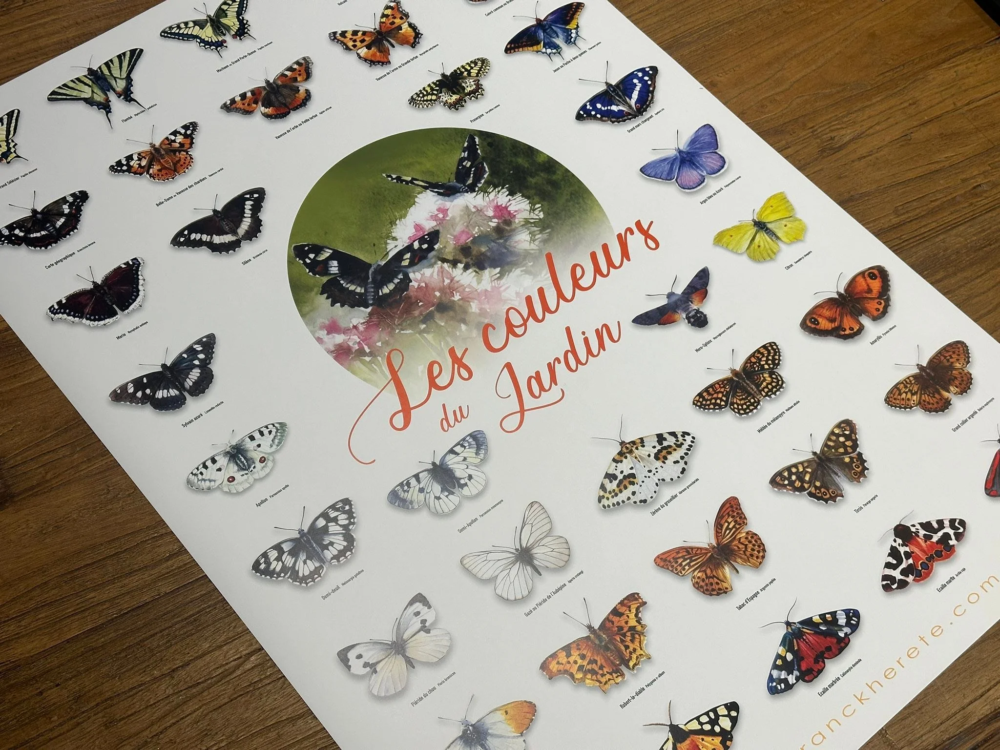 Elles sont arriv&eacute;es&hellip;. Et seront disponibles sur mes expositions 2026.
Format 50x70cm

&hellip;et tr&egrave;s bient&ocirc;t les coffrets papillons de France pour accompagner les affiches.