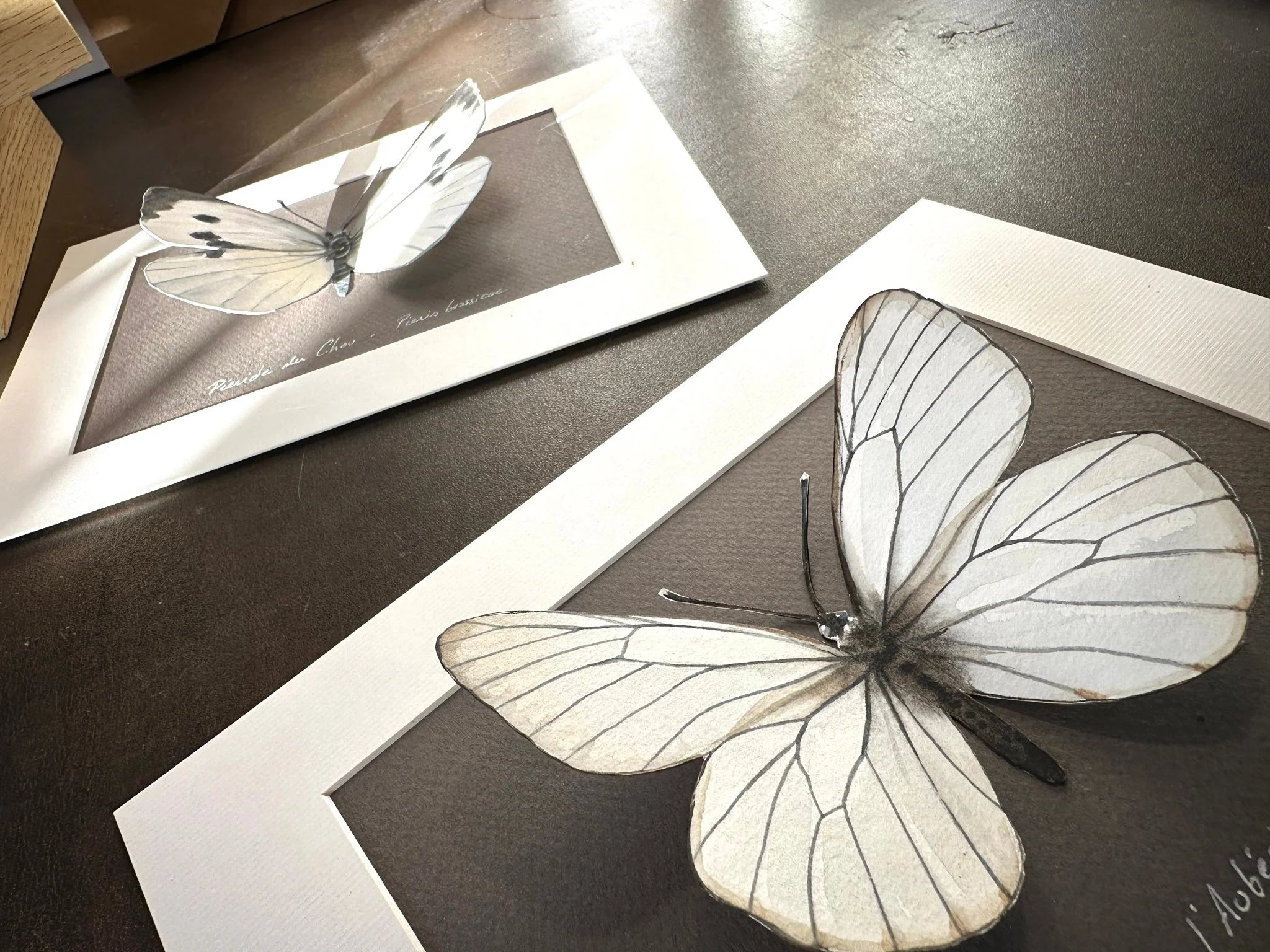 Comme souvent, un travail d&rsquo;ampleur n&eacute;cessite de l&rsquo;endurance&hellip; j&rsquo;avoue avoir d&eacute;laiss&eacute; ma collection de papillons depuis quelques semaines&hellip; aujourd&rsquo;hui, avec le soleil qui pointe les papillons 