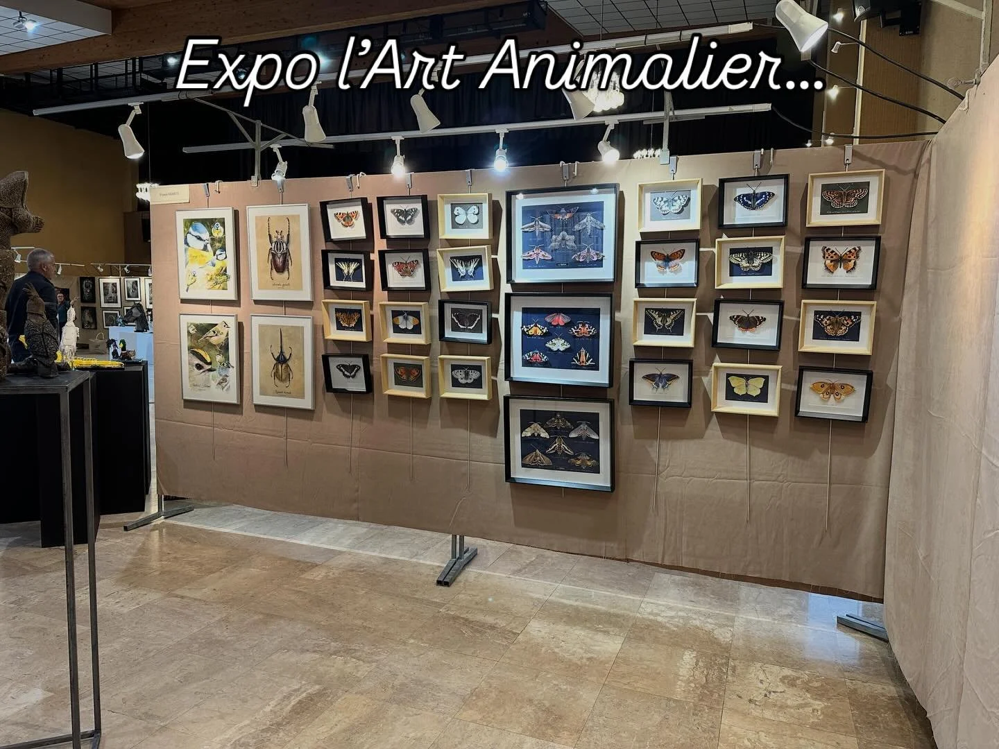 En direct de Saint Pierre l&egrave;s Nemours