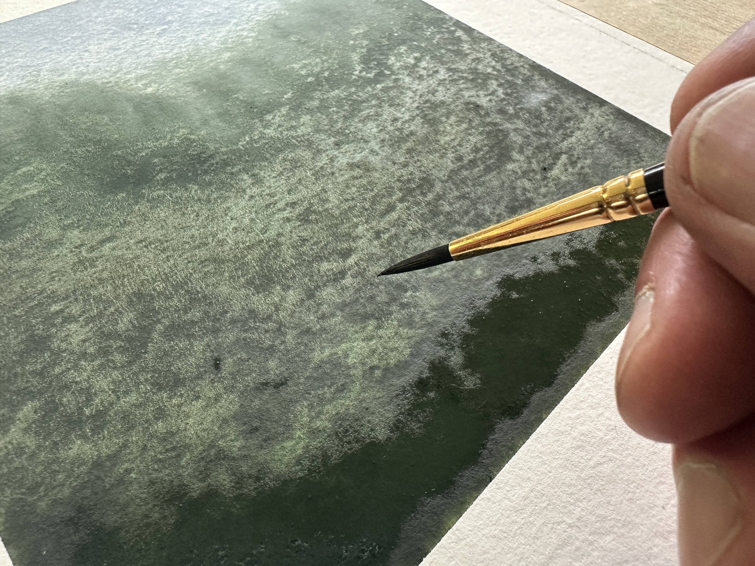 "Le fonctionnement des pigments"