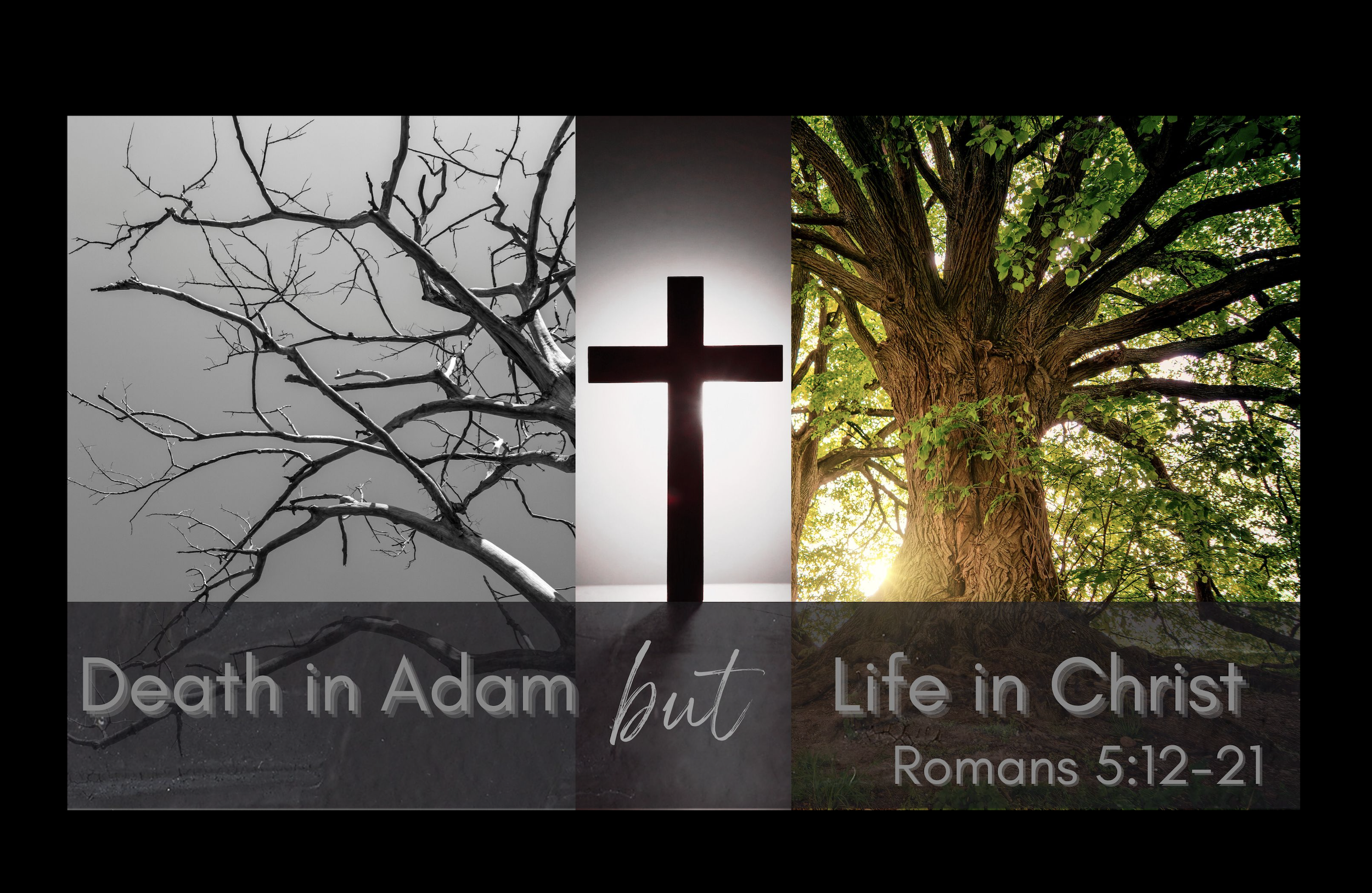 Death in Adam but Life in Christ - Rom 5:12-21
