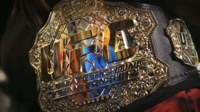 UFC / Jon Jones