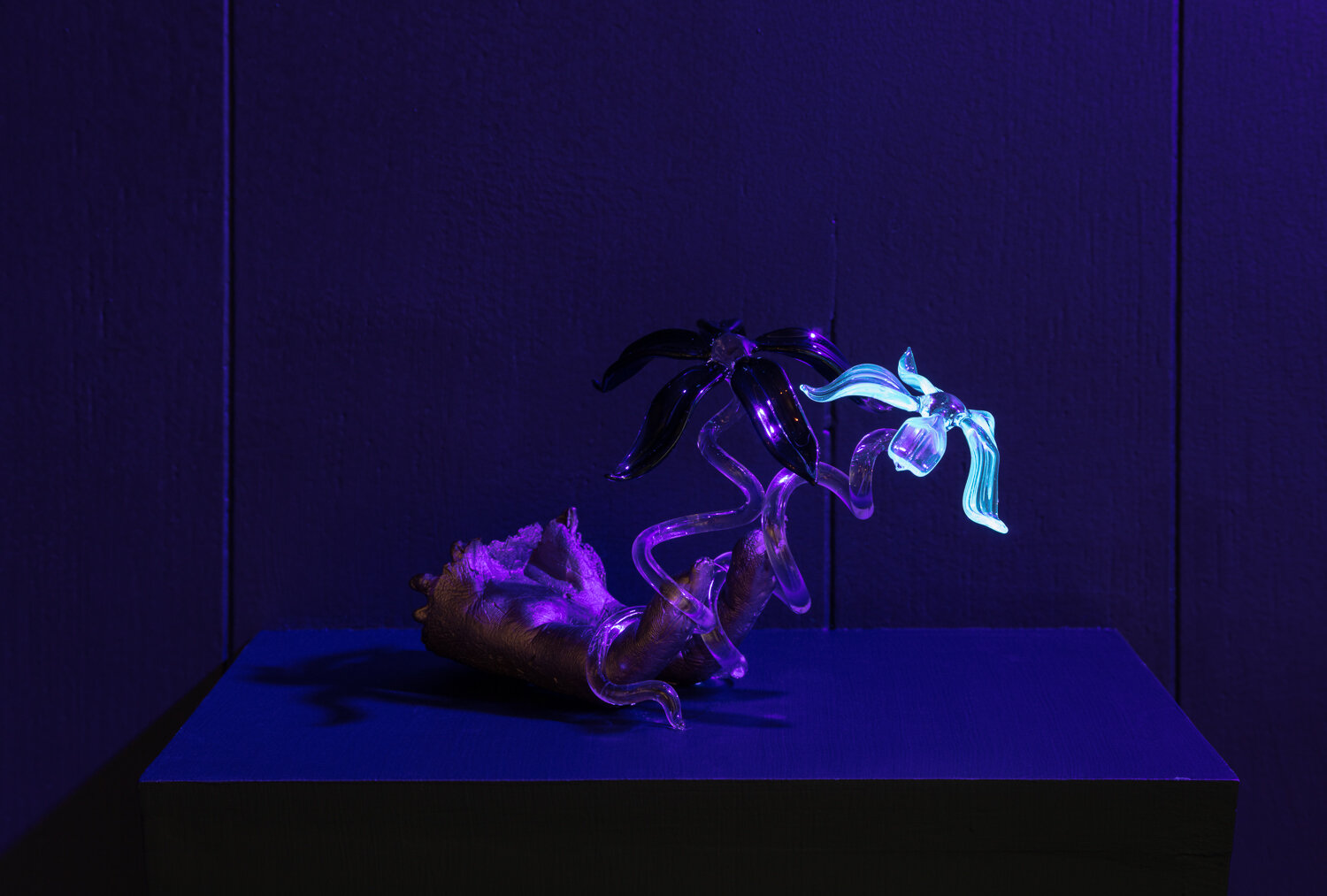  Kelly Akashi,  Spawn , 2020. Bronze and UV borosilicate, 5 x 4 x 6 inches.         