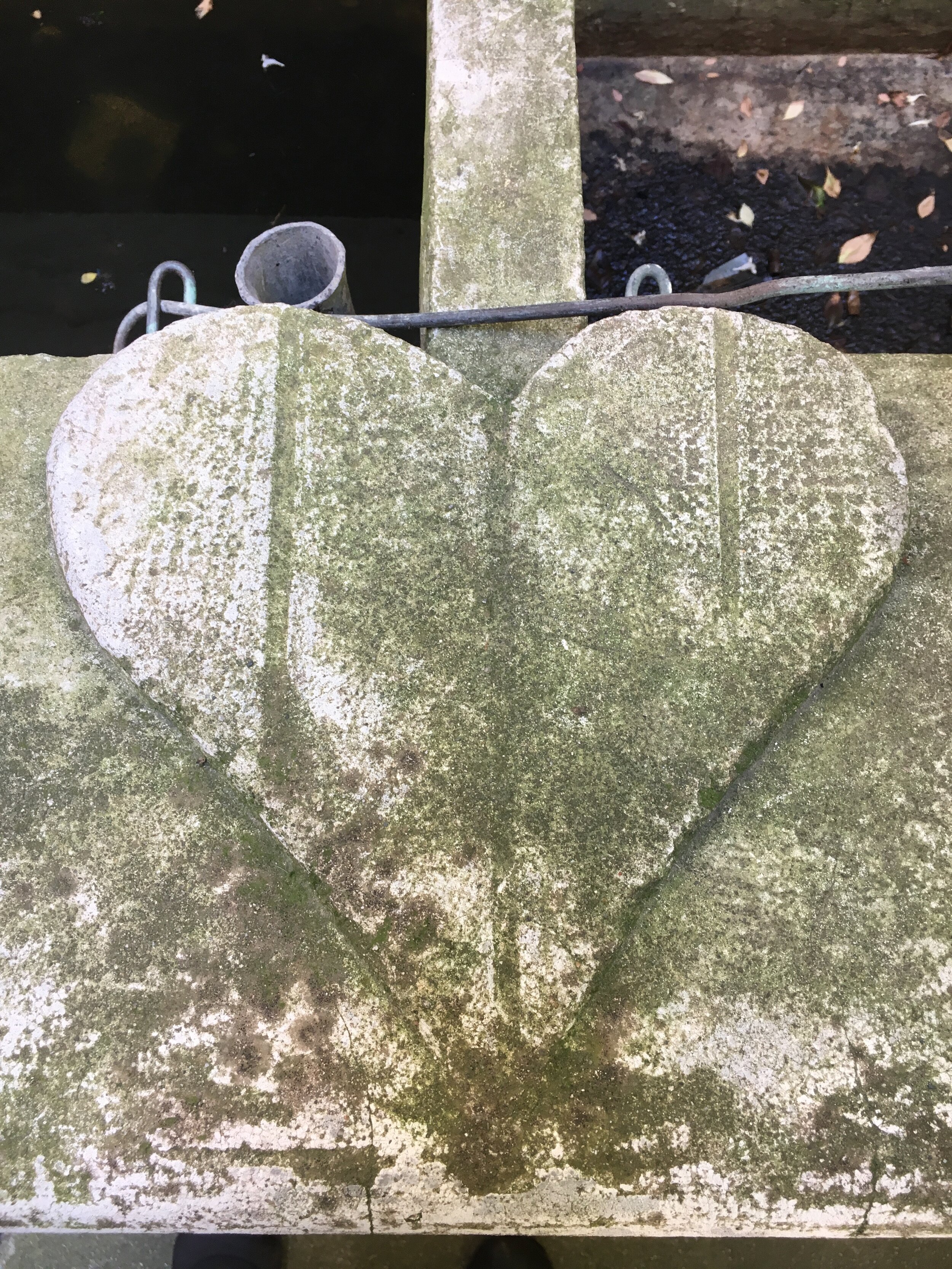 Concrete Heart