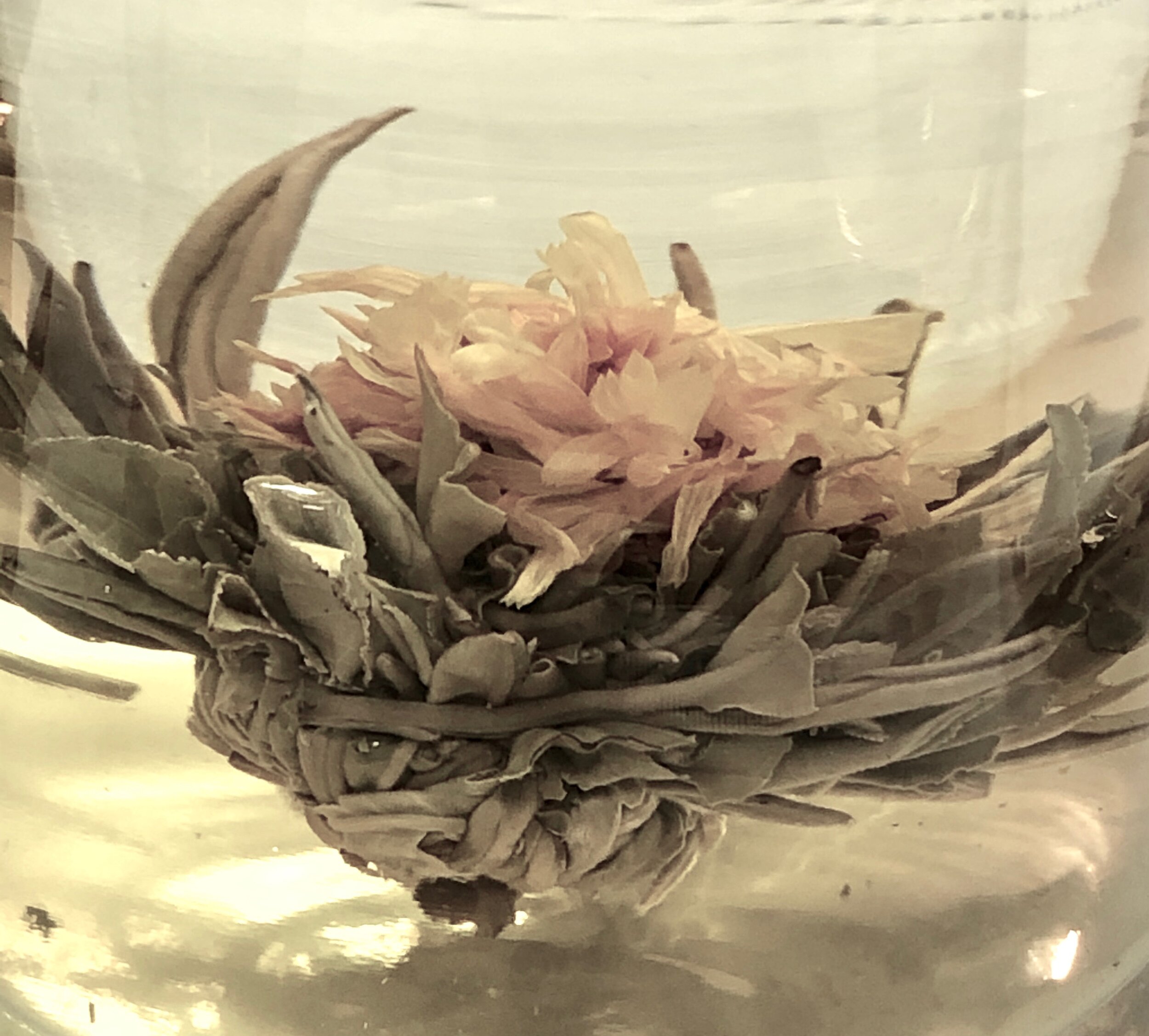 Tea Blossom