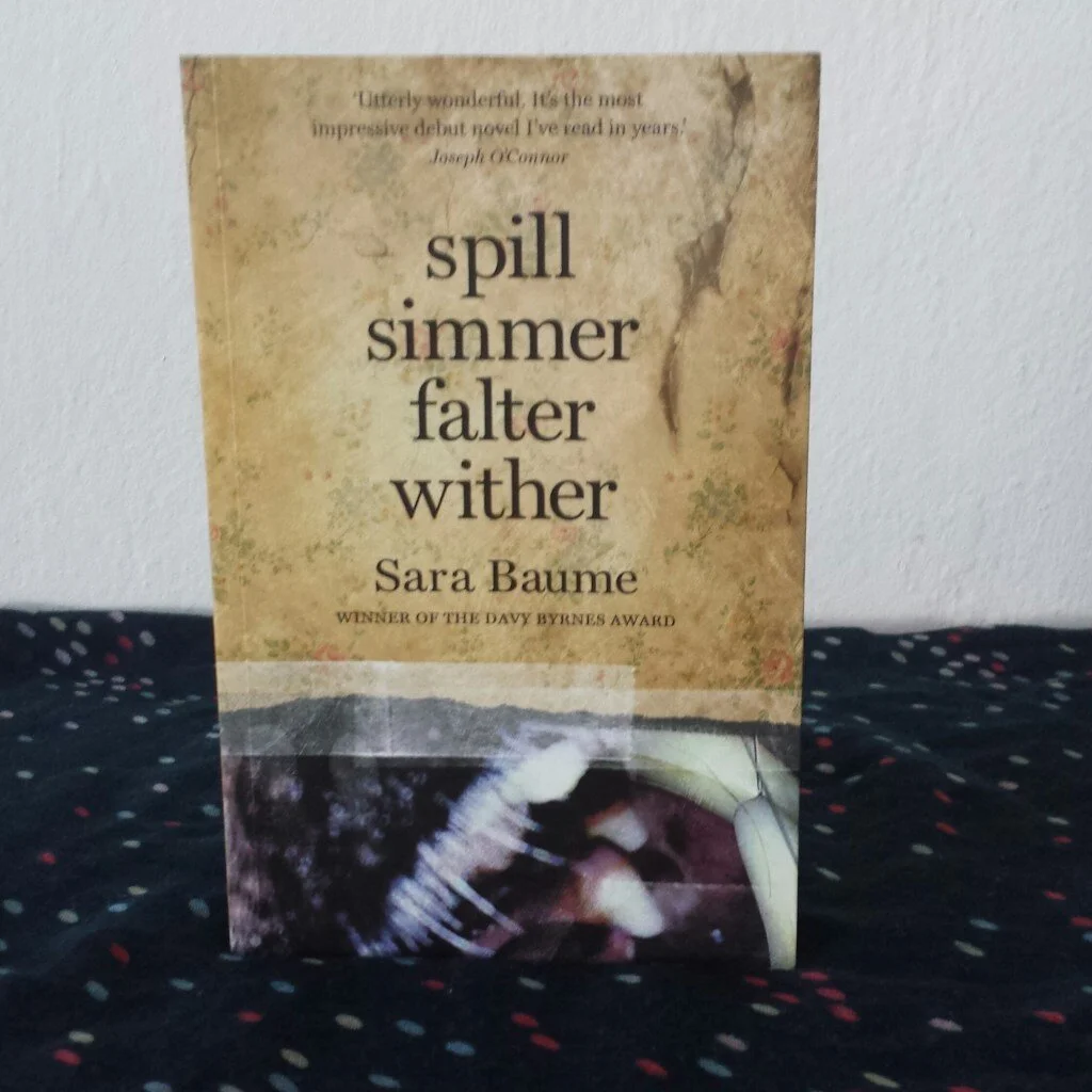 Spill Simmer Falter Wither by Sara Baume