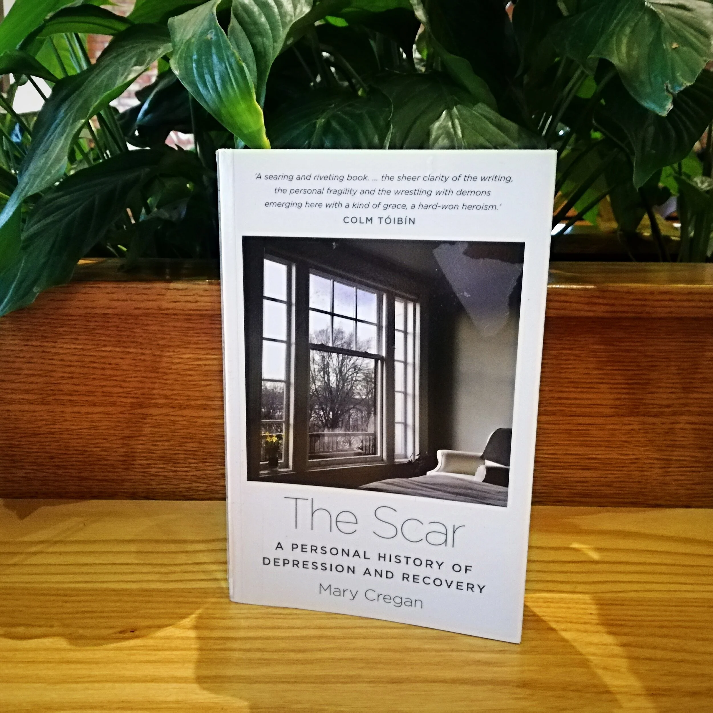 The Scar: A Personal History of Depression and Recovery by Mary Cregan