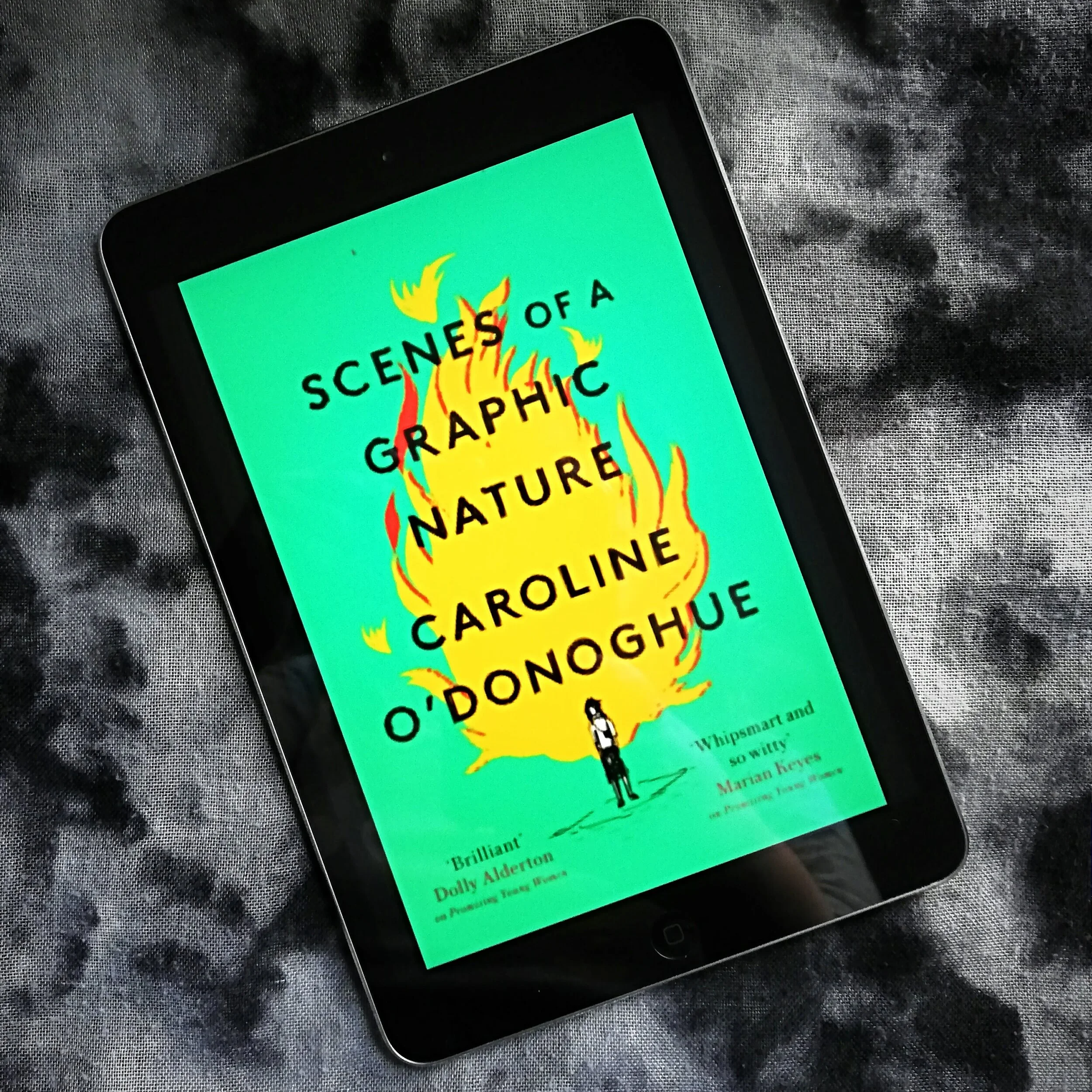 Scenes of a Graphic Nature by Caroline O'Donoghue