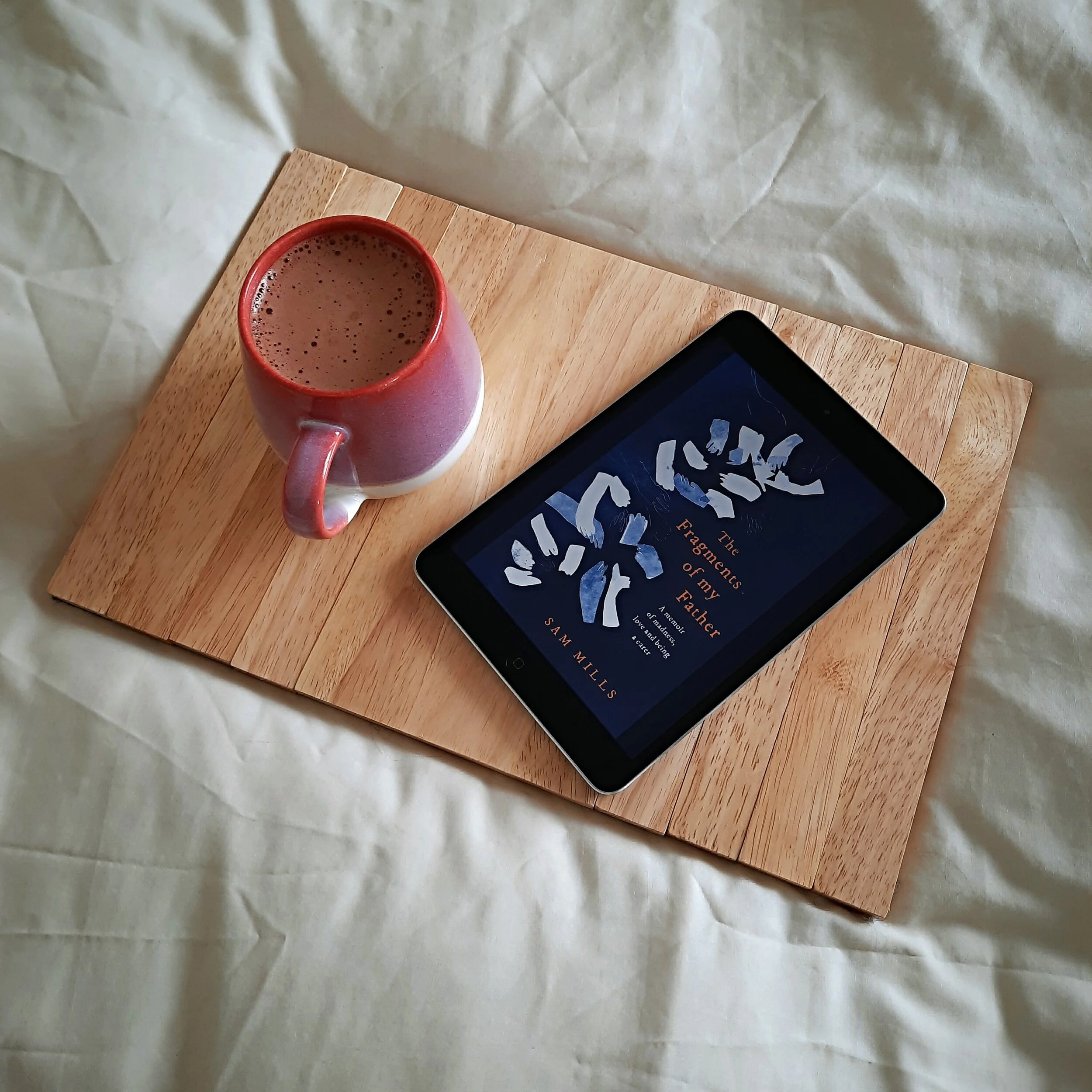 The Fragments of my Father: A memoir of madness, love and being a carer by Sam Mills