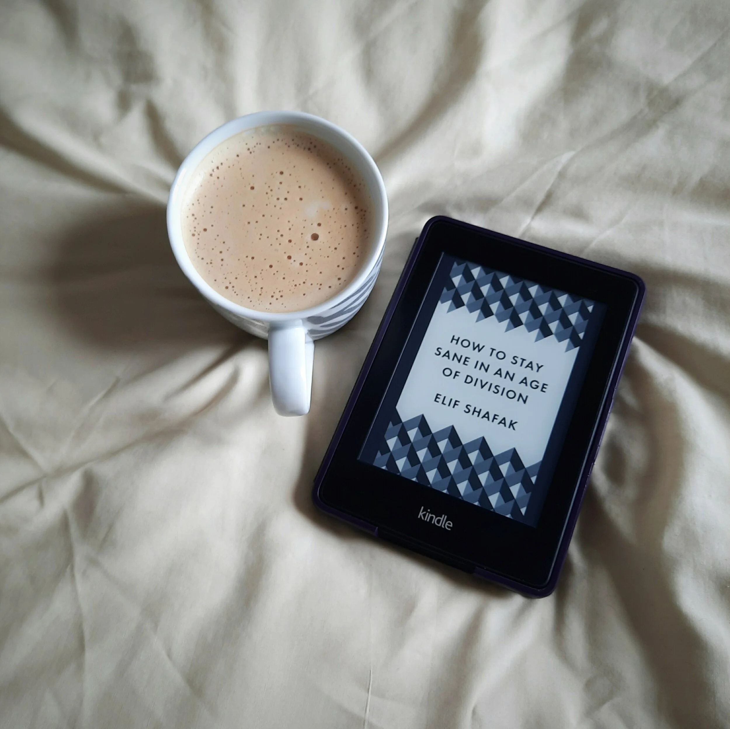 How to Stay Sane in an Age of Division  by Elif Shafak