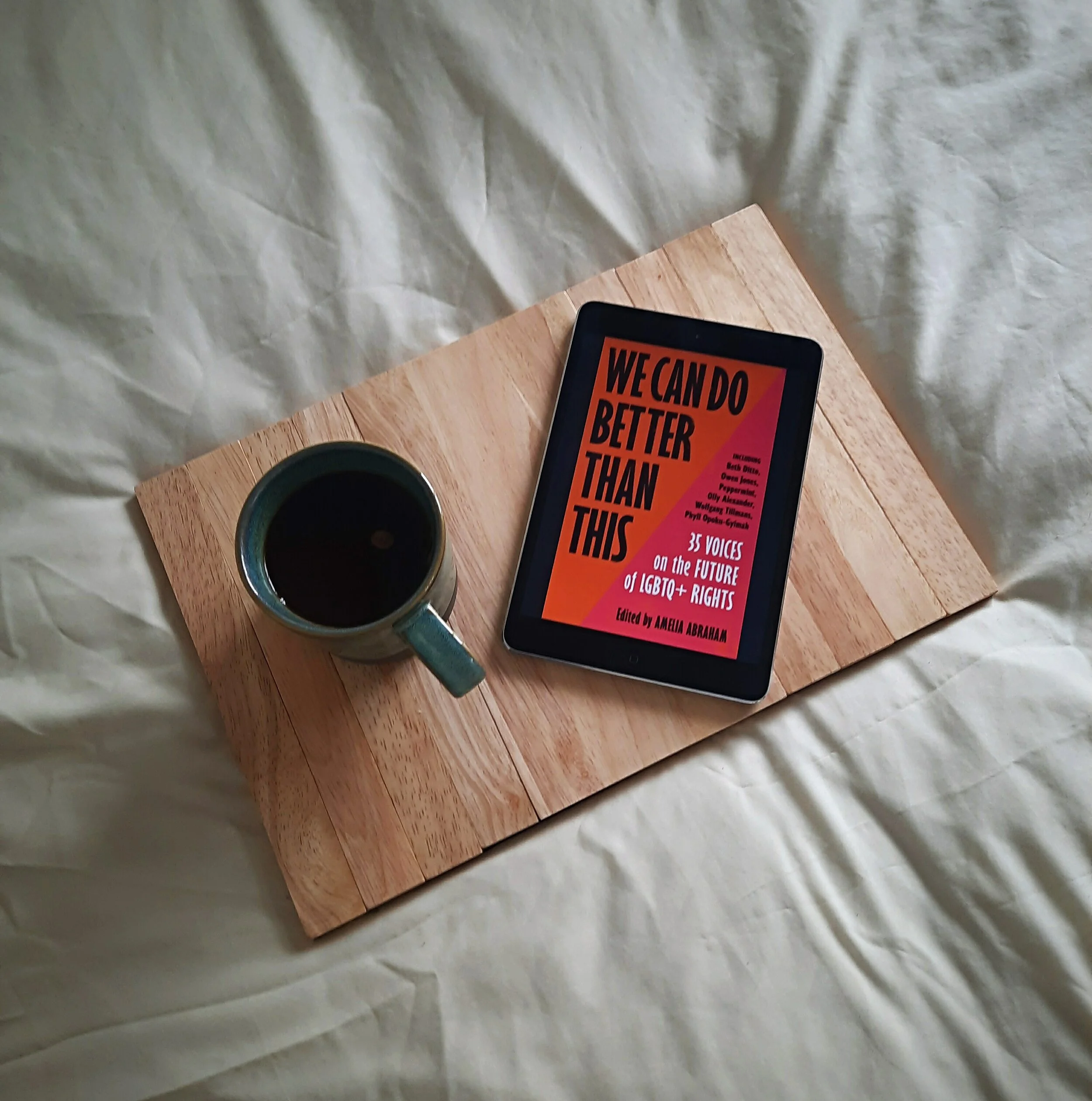 We Can Do Better Than This: 35 Voices On The Future Of LGBTQ+ Rights edited by Amelia Abraham