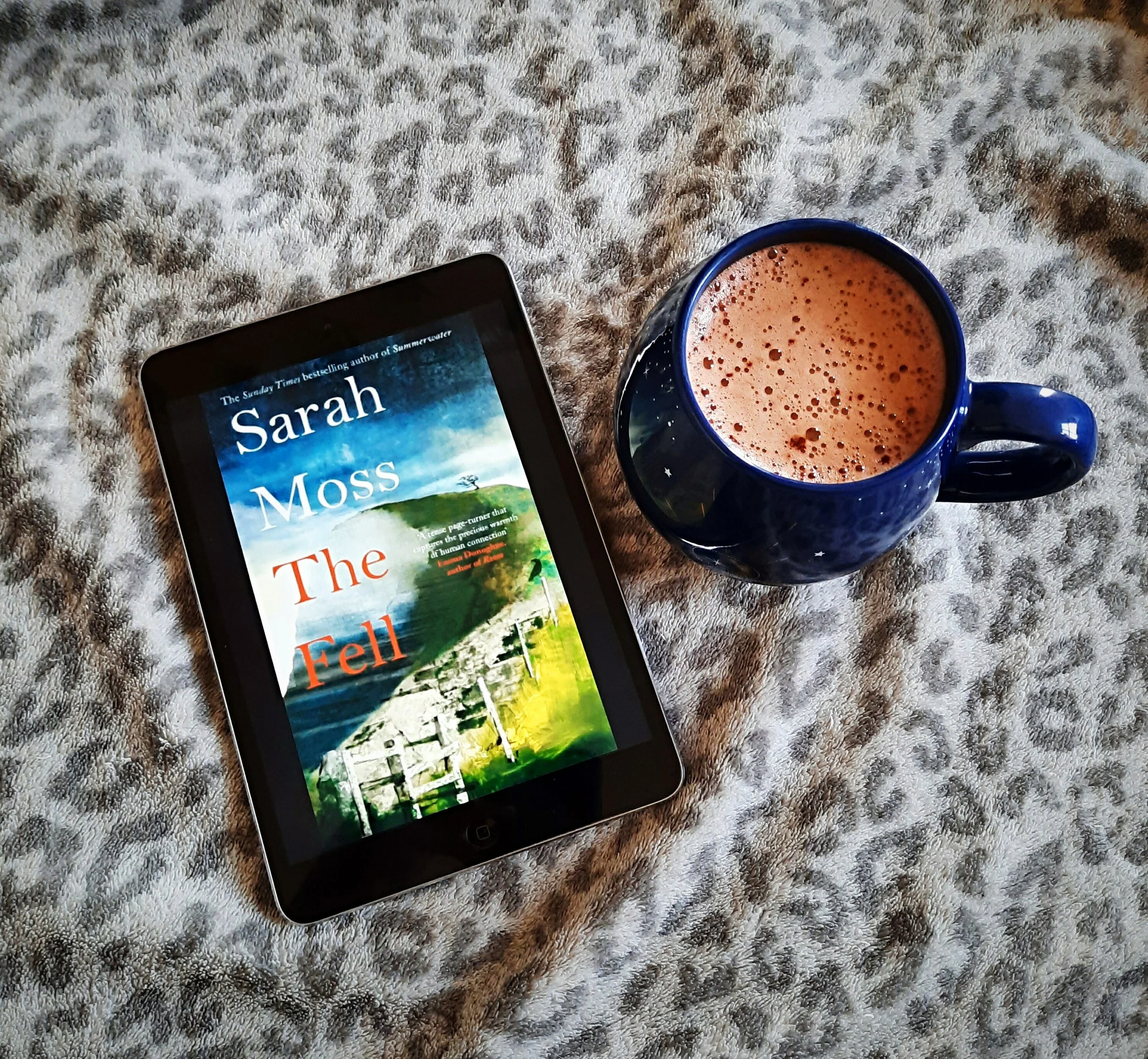 The Fell by Sarah Moss
