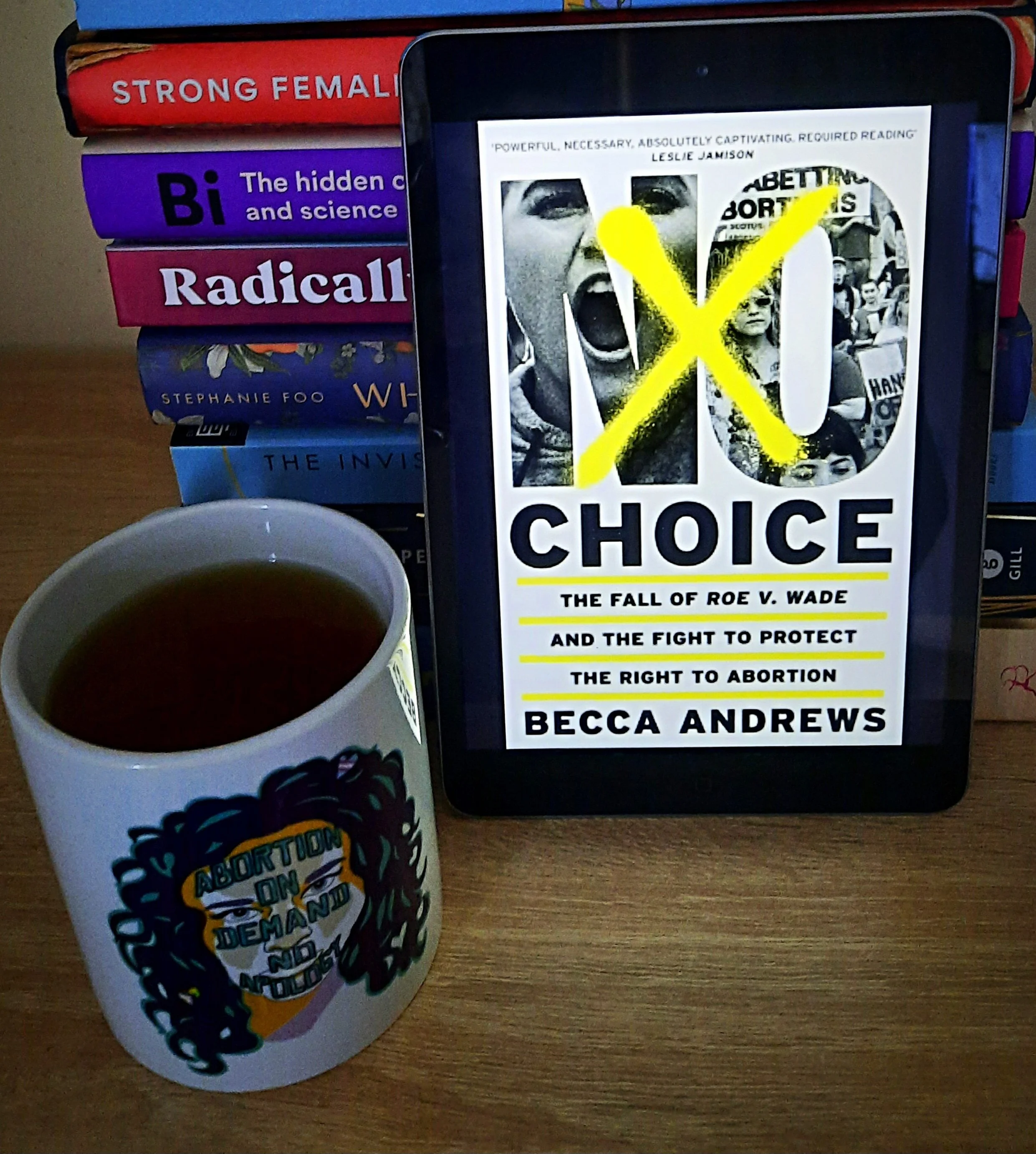 No Choice: The Fall of Roe v. Wade and the Fight to Protect the Right to Abortion by Becca Andrews