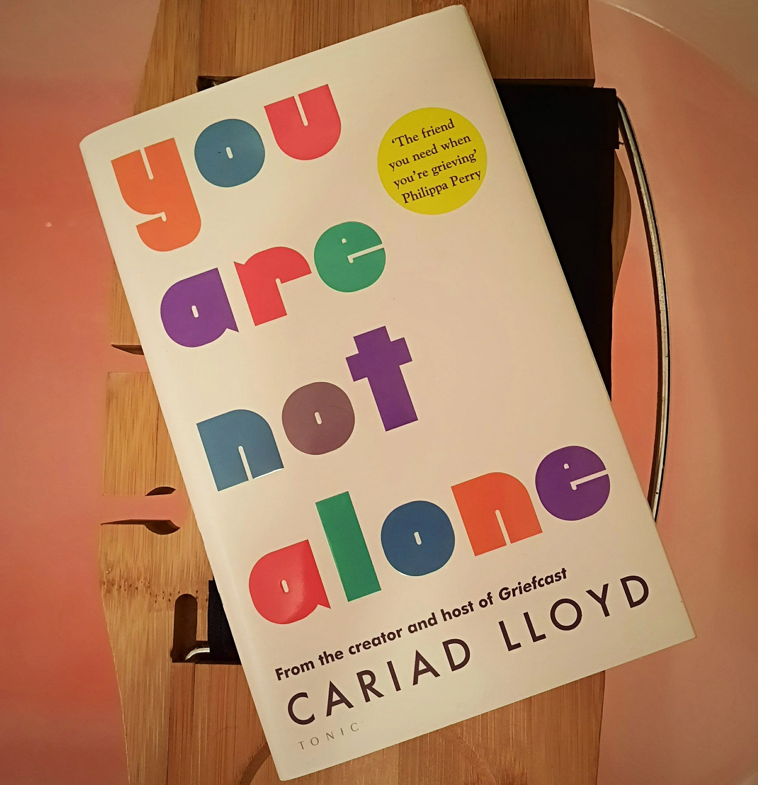 You Are Not Alone by Cariad Lloyd