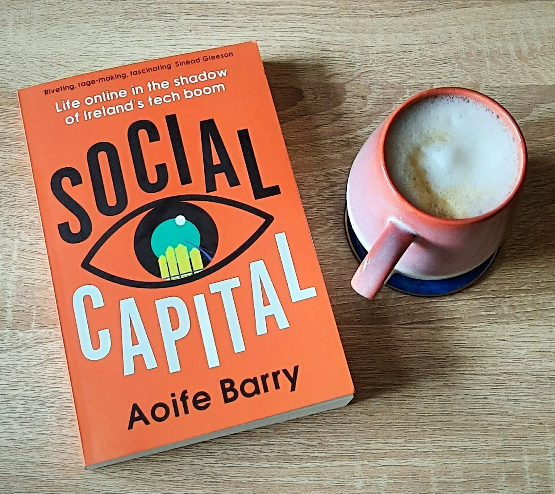Social Capital by Aoife Barry
