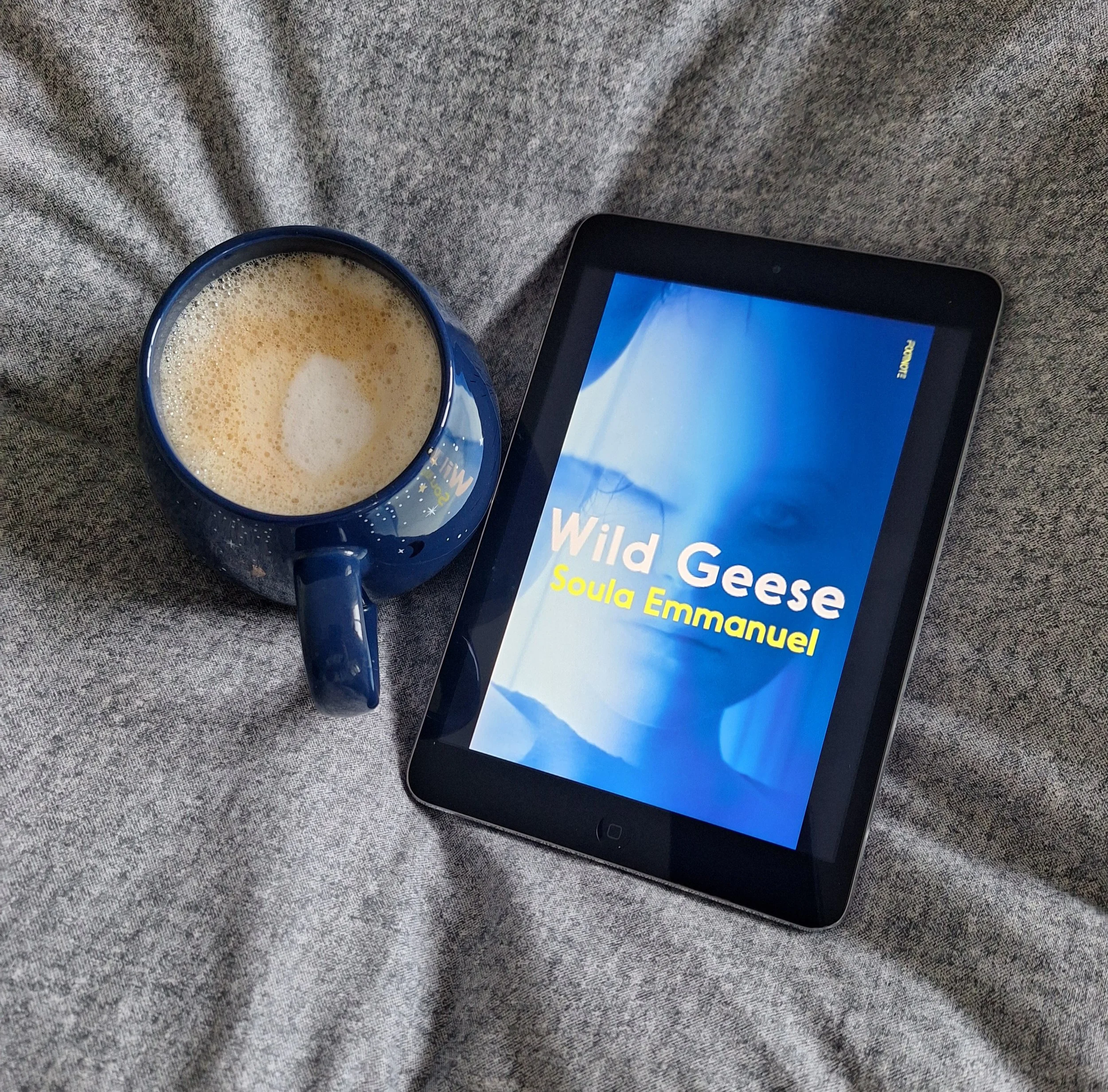 Wild Geese by Soula Emmanuel 