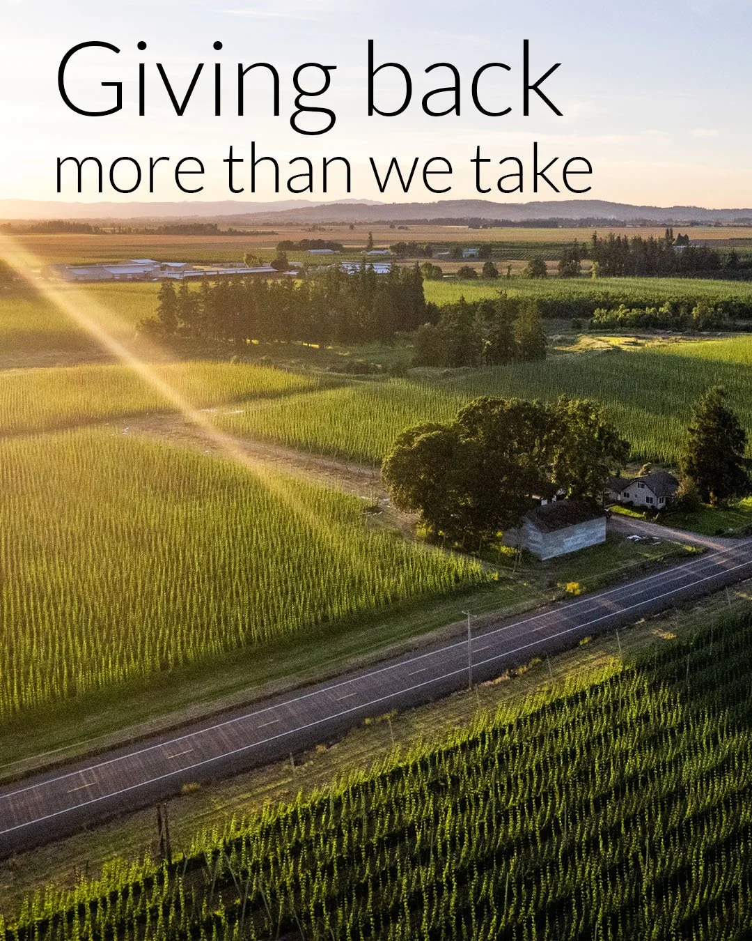 Giving back more than we take.
At Coleman Agriculture, sustainable practices are integral to our stewardship. Our work is rooted in soil health, water conservation, and biodiversity.
We repurpose hop plant material as a natural fertilizer, grow cove