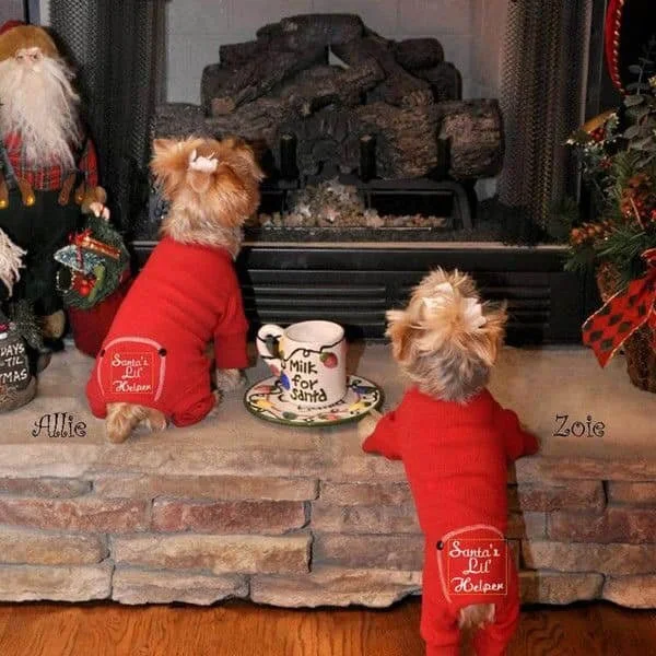 Christmas Decorating Party