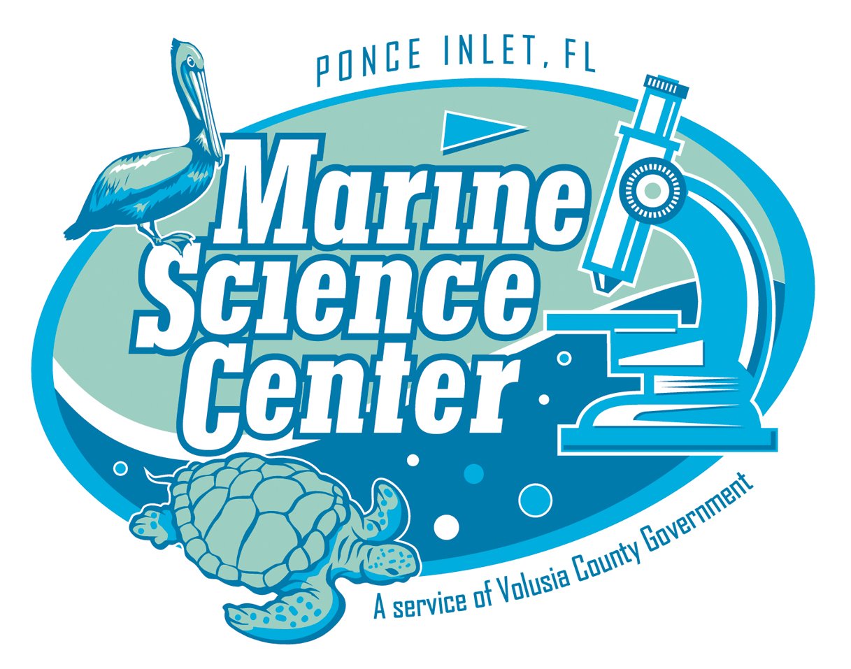 Family Fun Day @ Marine Science Center
